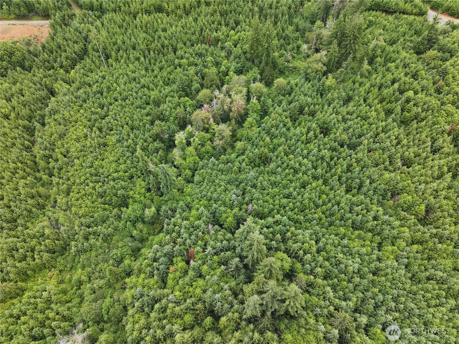 0 Hope Creek Road Property Photo 15