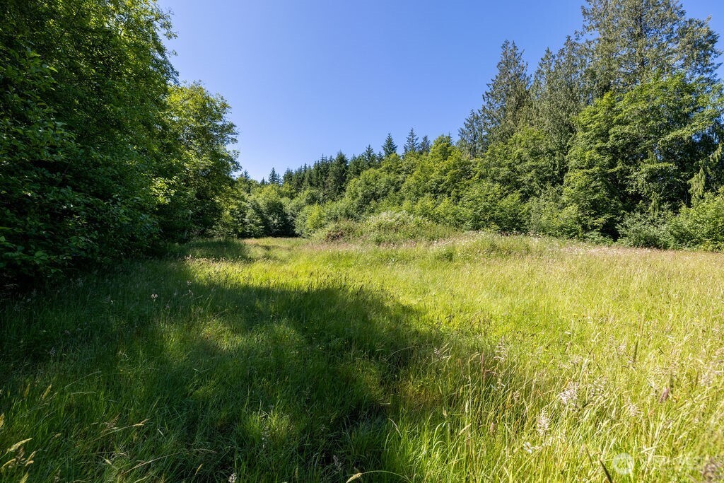 50788 Hwy 112 Property Photo 30