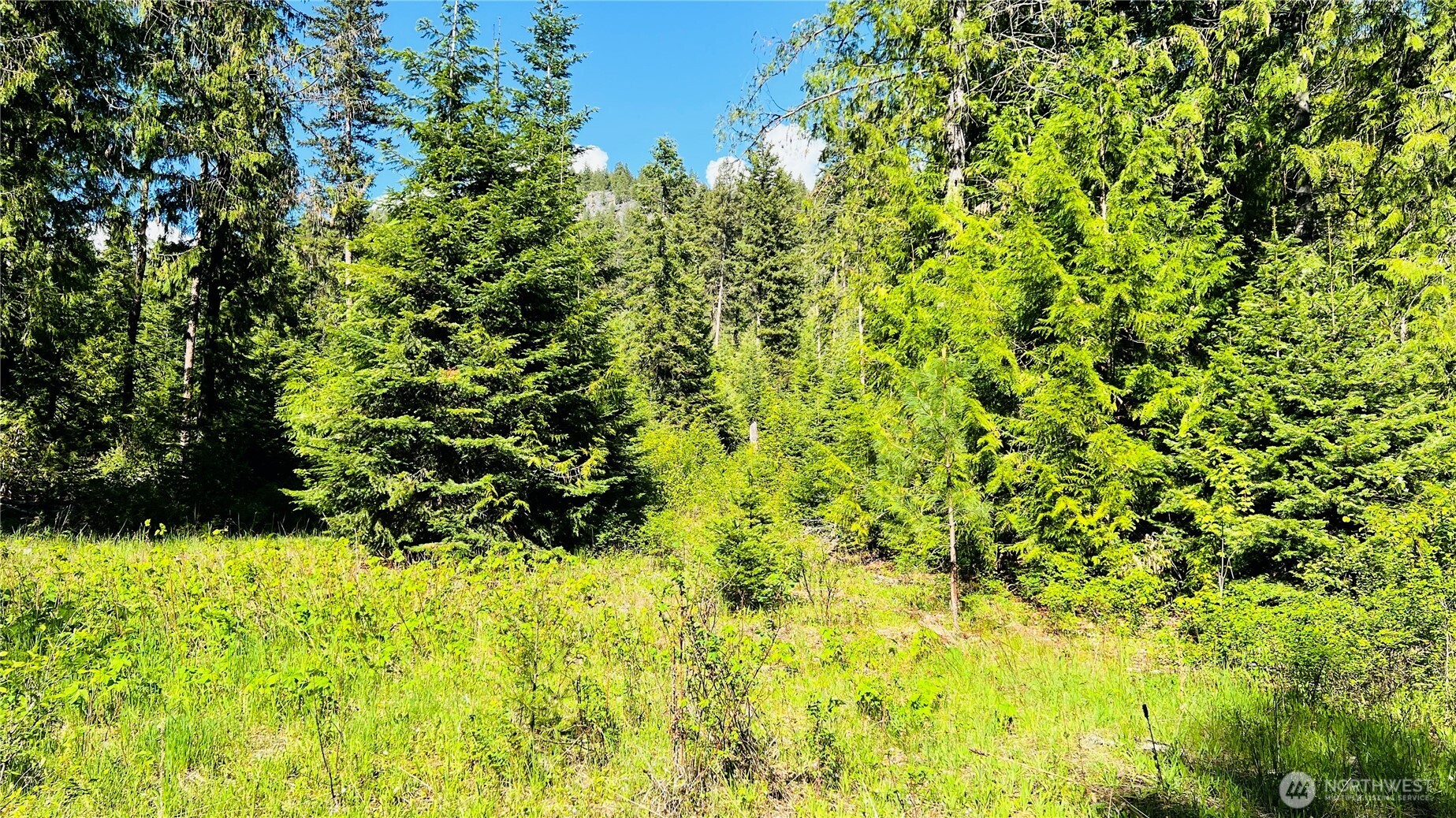 0 Nka Phalon Lake Road Property Photo 6