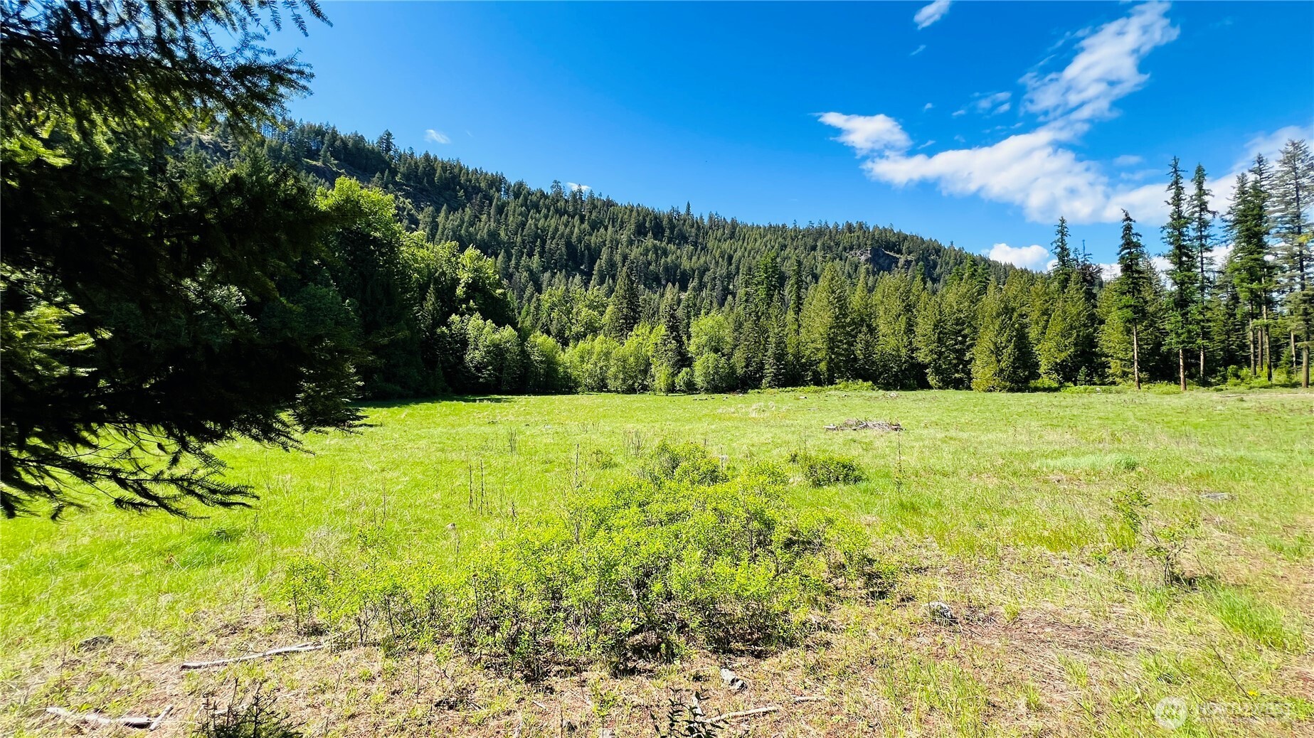 0 Nka Phalon Lake Road Property Photo 7