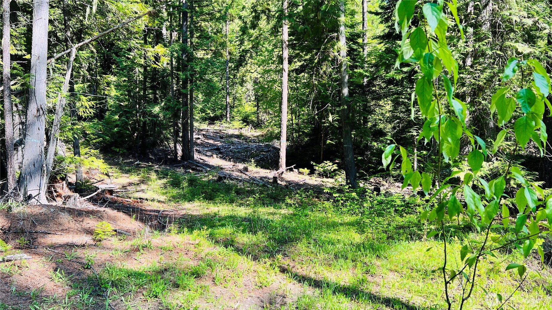 0 Nka Phalon Lake Road Property Photo 11