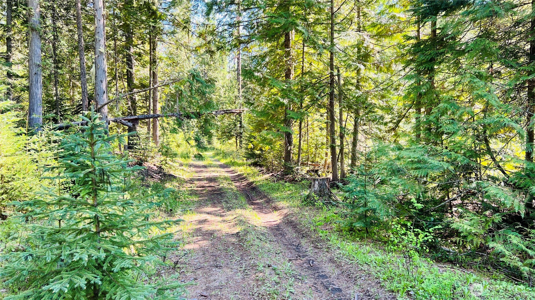 0 Nka Phalon Lake Road Property Photo 12
