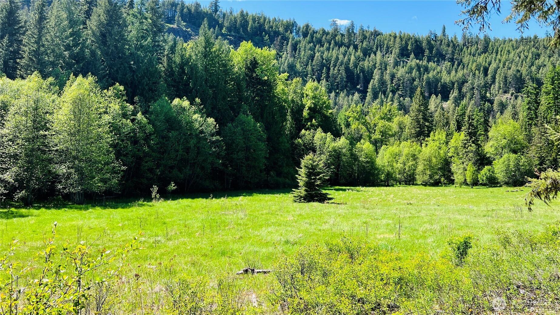 0 Nka Phalon Lake Road Property Photo 13