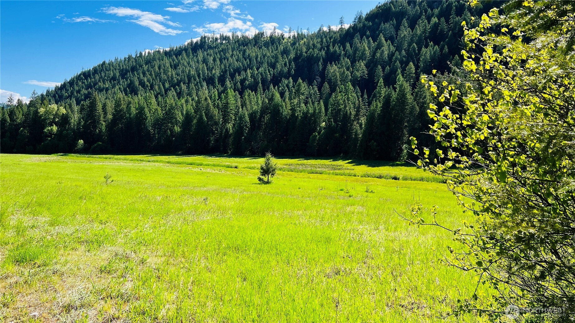 0 Nka Phalon Lake Road Property Photo 18