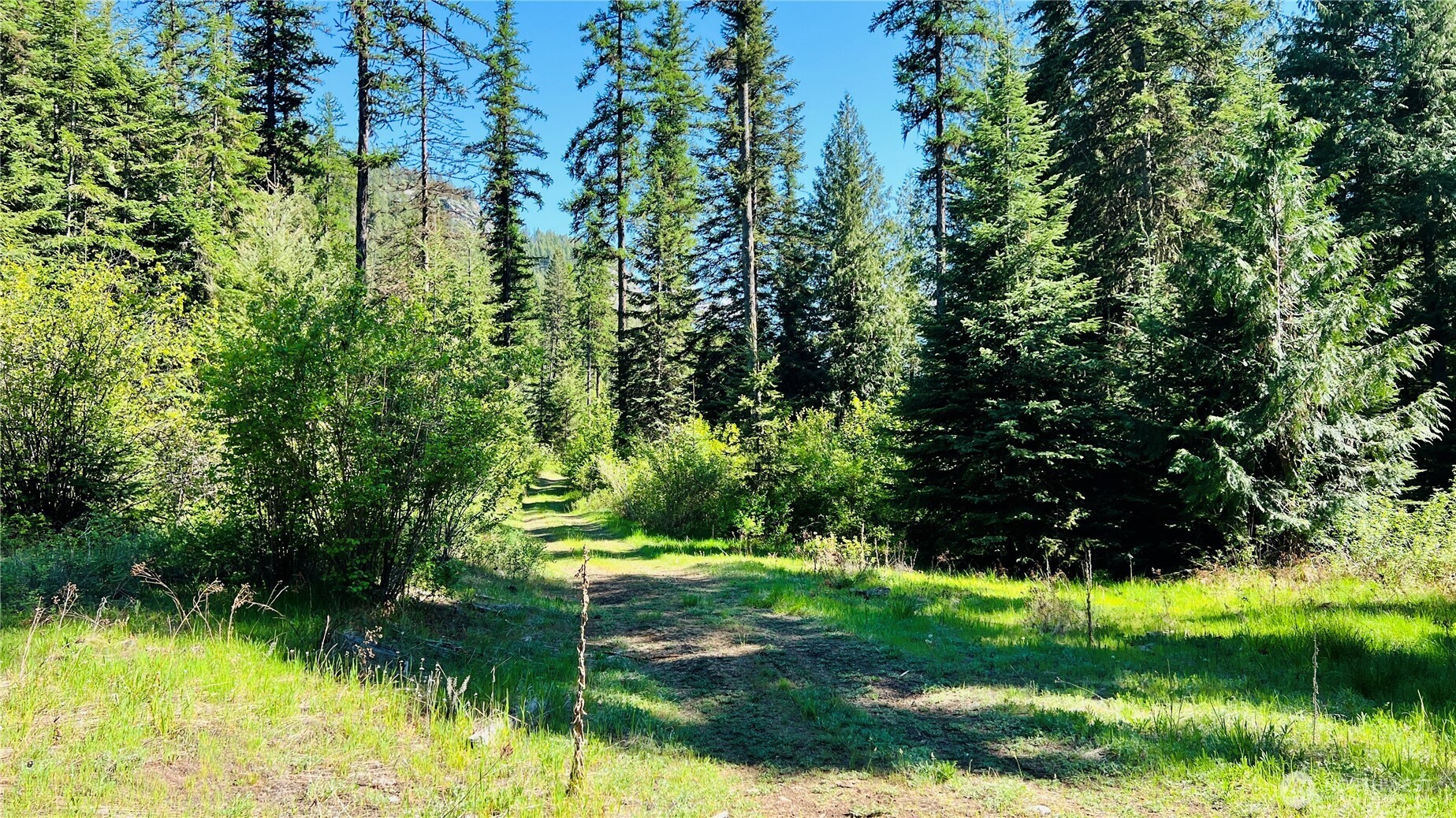 0 Nka Phalon Lake Road Property Photo 19