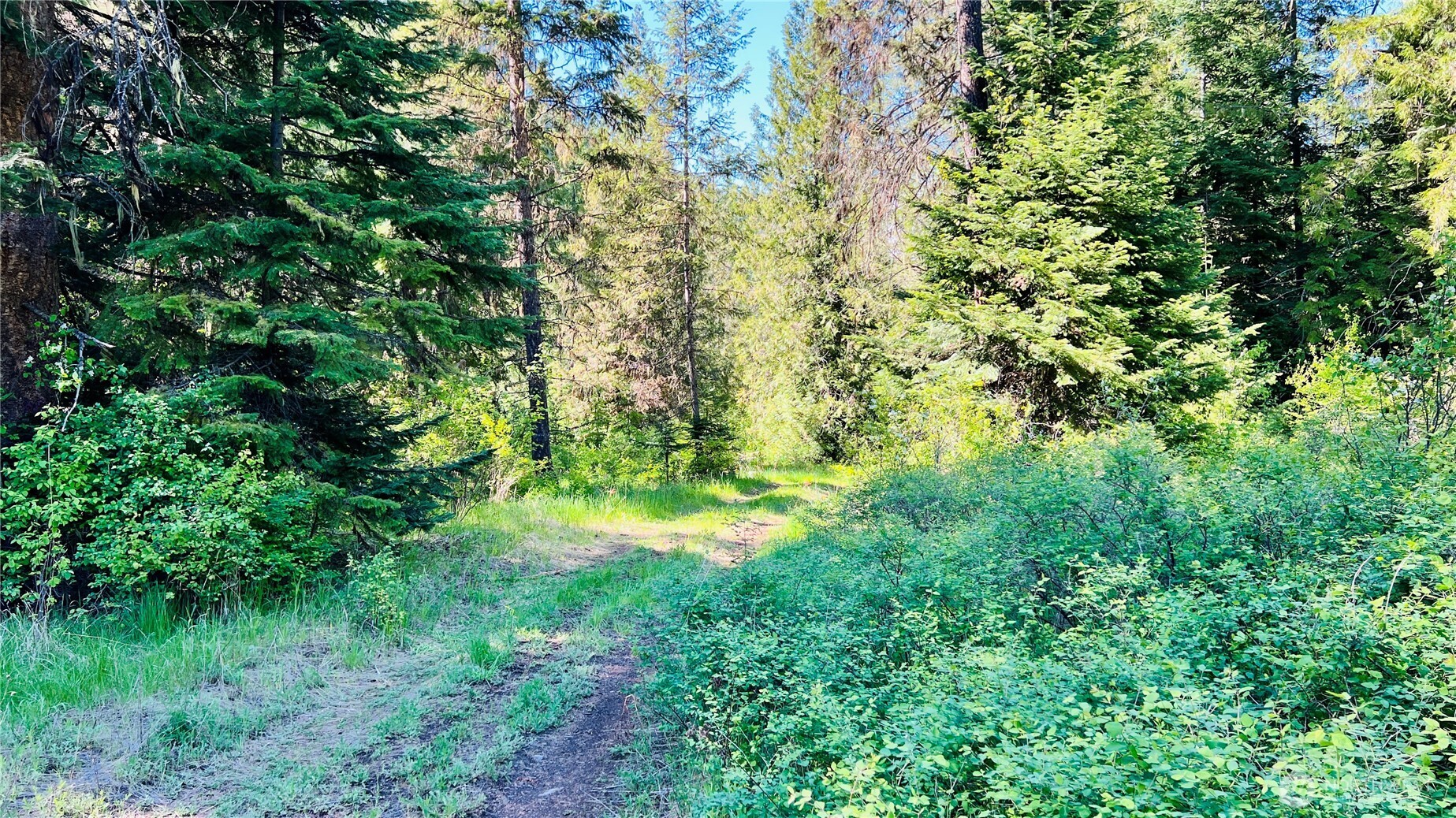 0 Nka Phalon Lake Road Property Photo 20