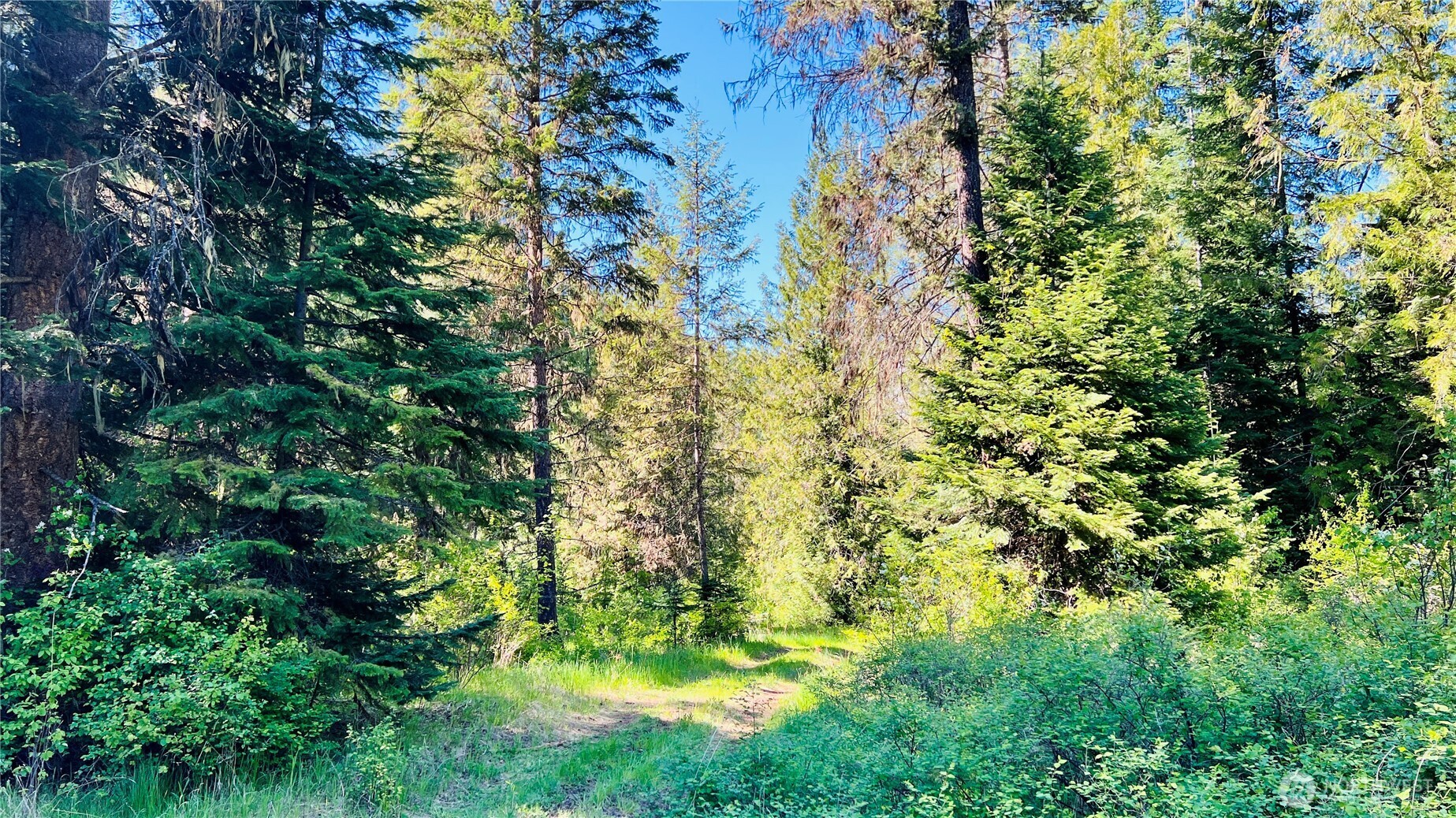 0 Nka Phalon Lake Road Property Photo 21