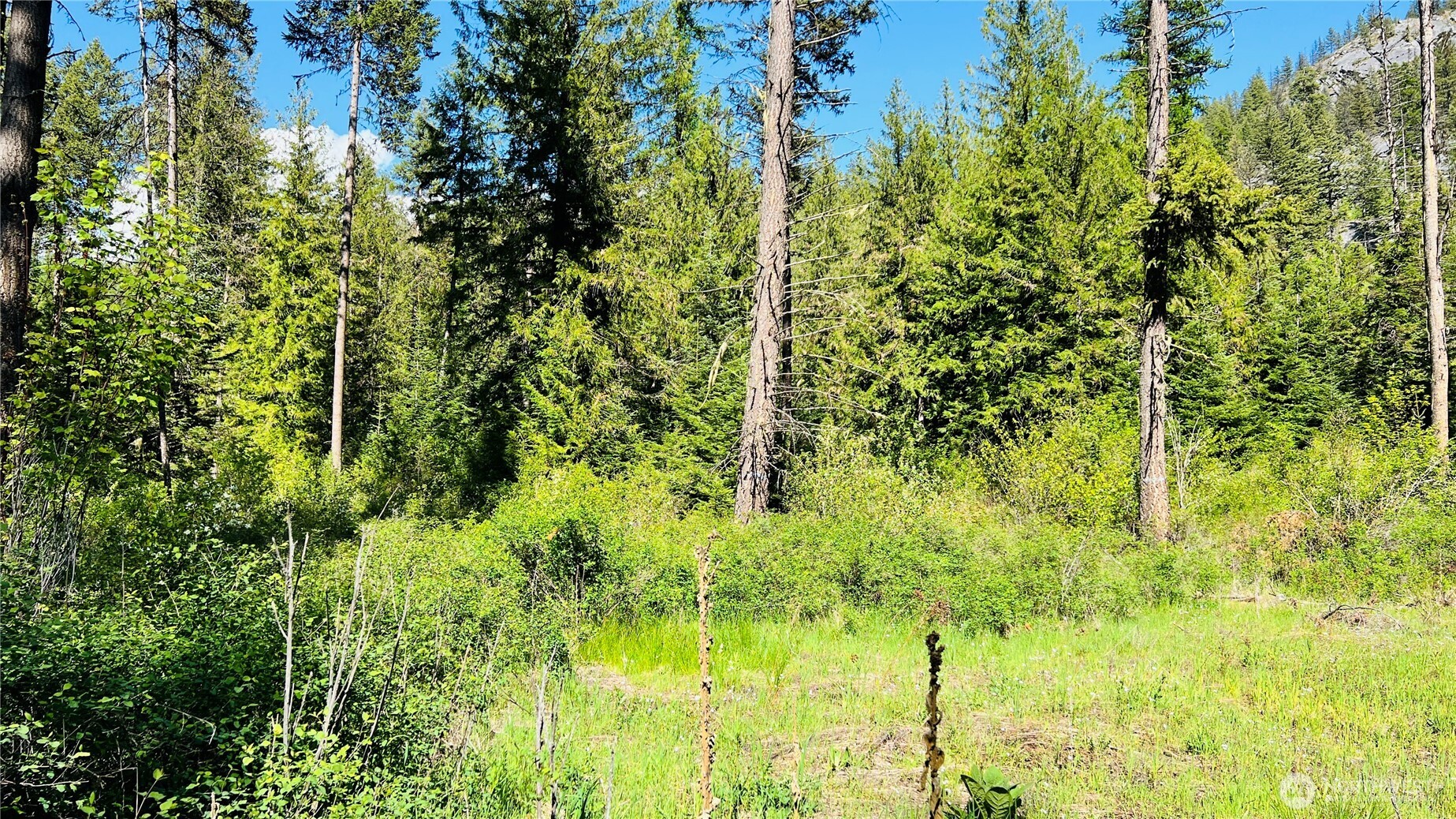0 Nka Phalon Lake Road Property Photo 22