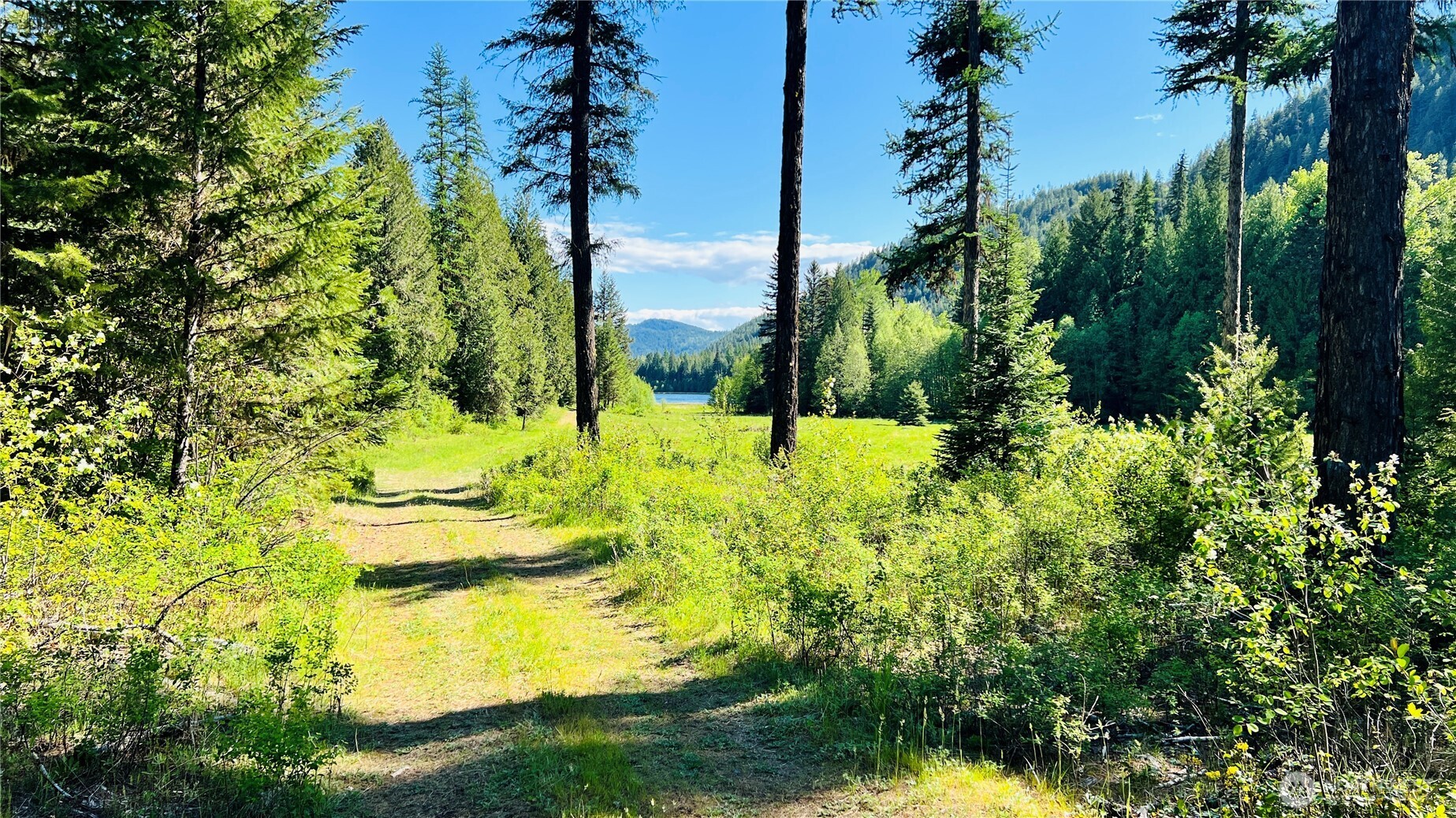0 Nka Phalon Lake Road Property Photo 23