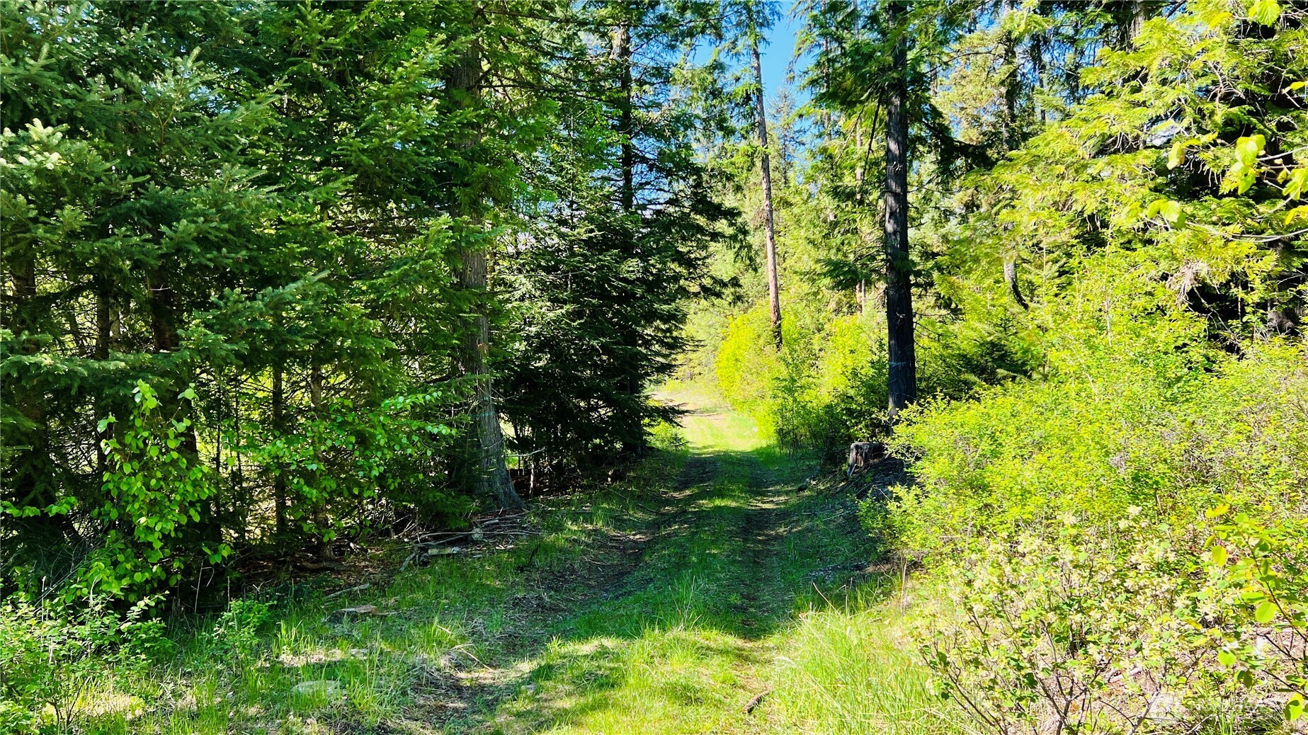 0 Nka Phalon Lake Road Property Photo 25