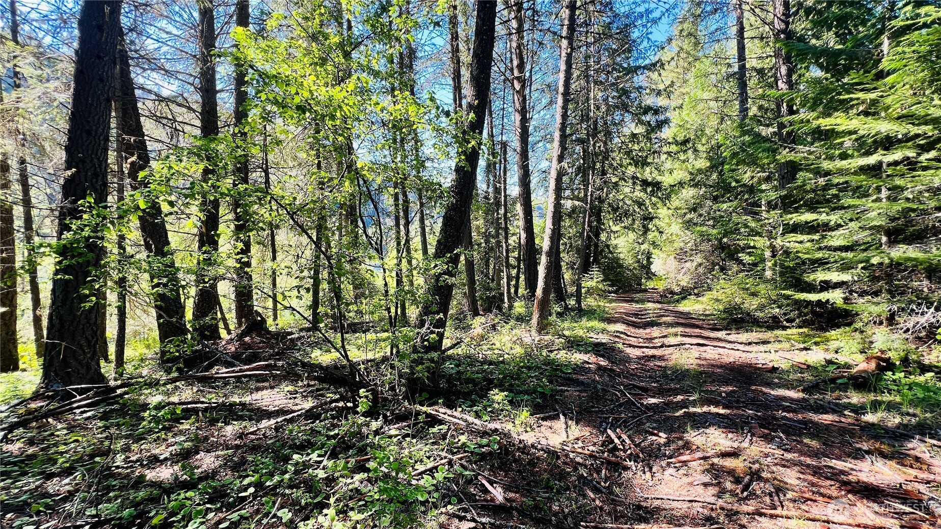 0 Nka Phalon Lake Road Property Photo 28