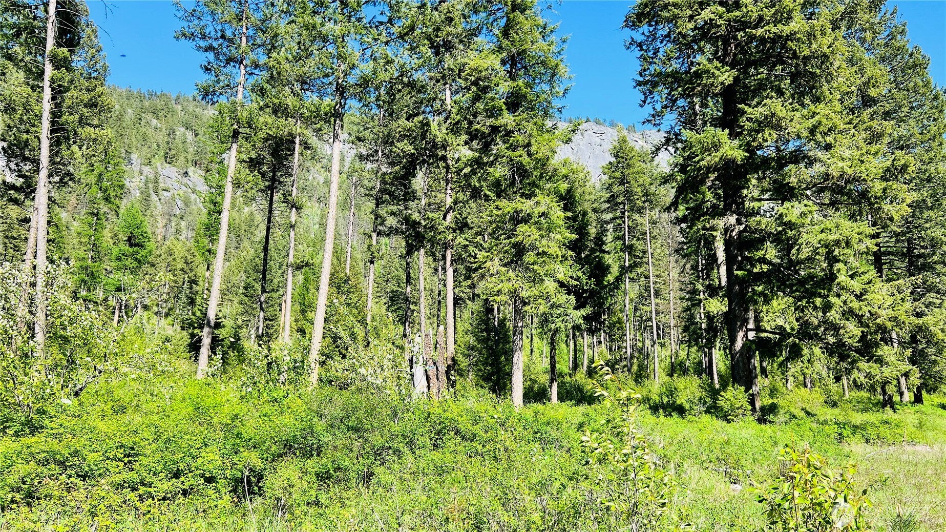 0 Nka Phalon Lake Road Property Photo 29
