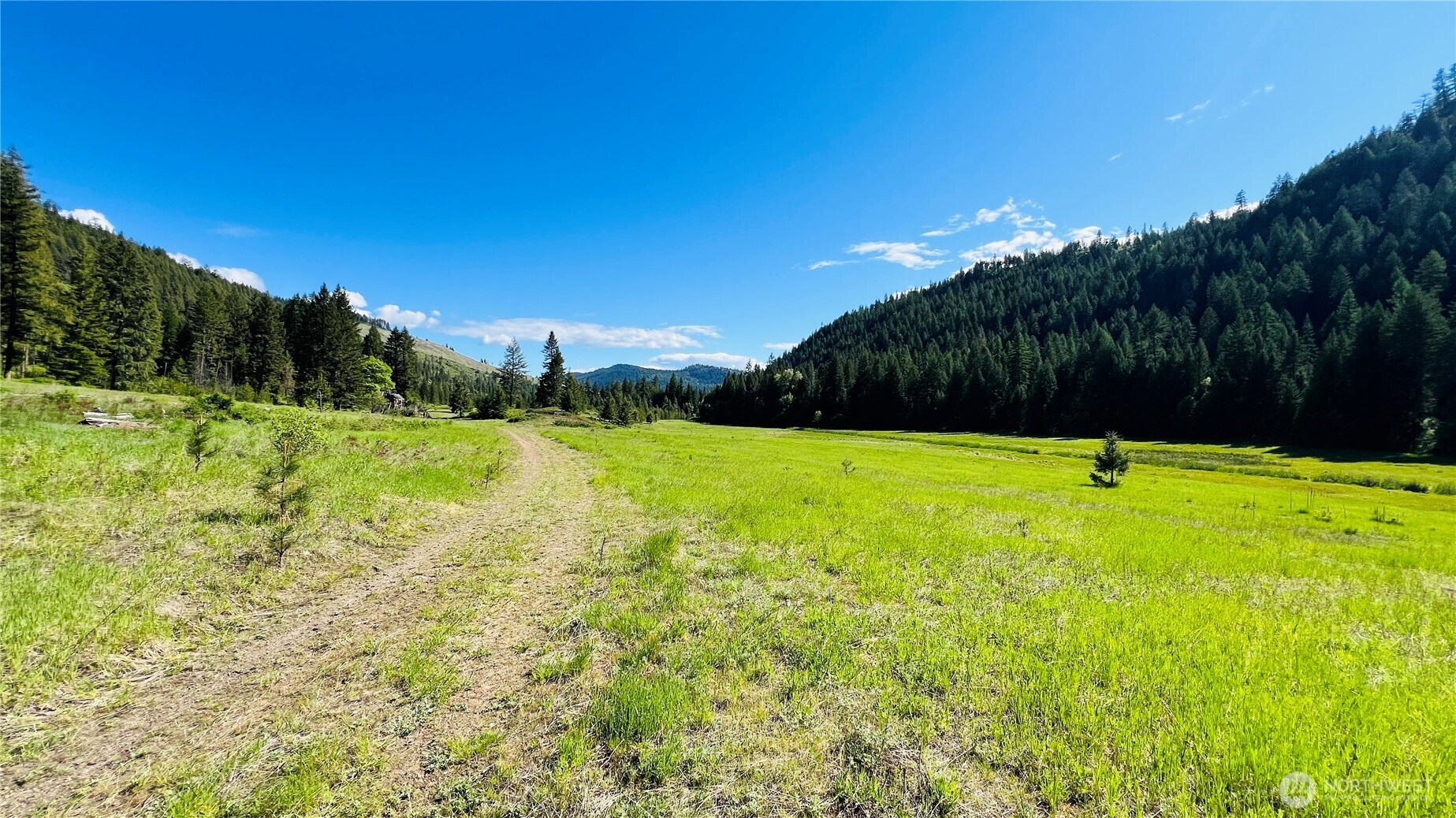 0 Nka Phalon Lake Road Property Photo 30