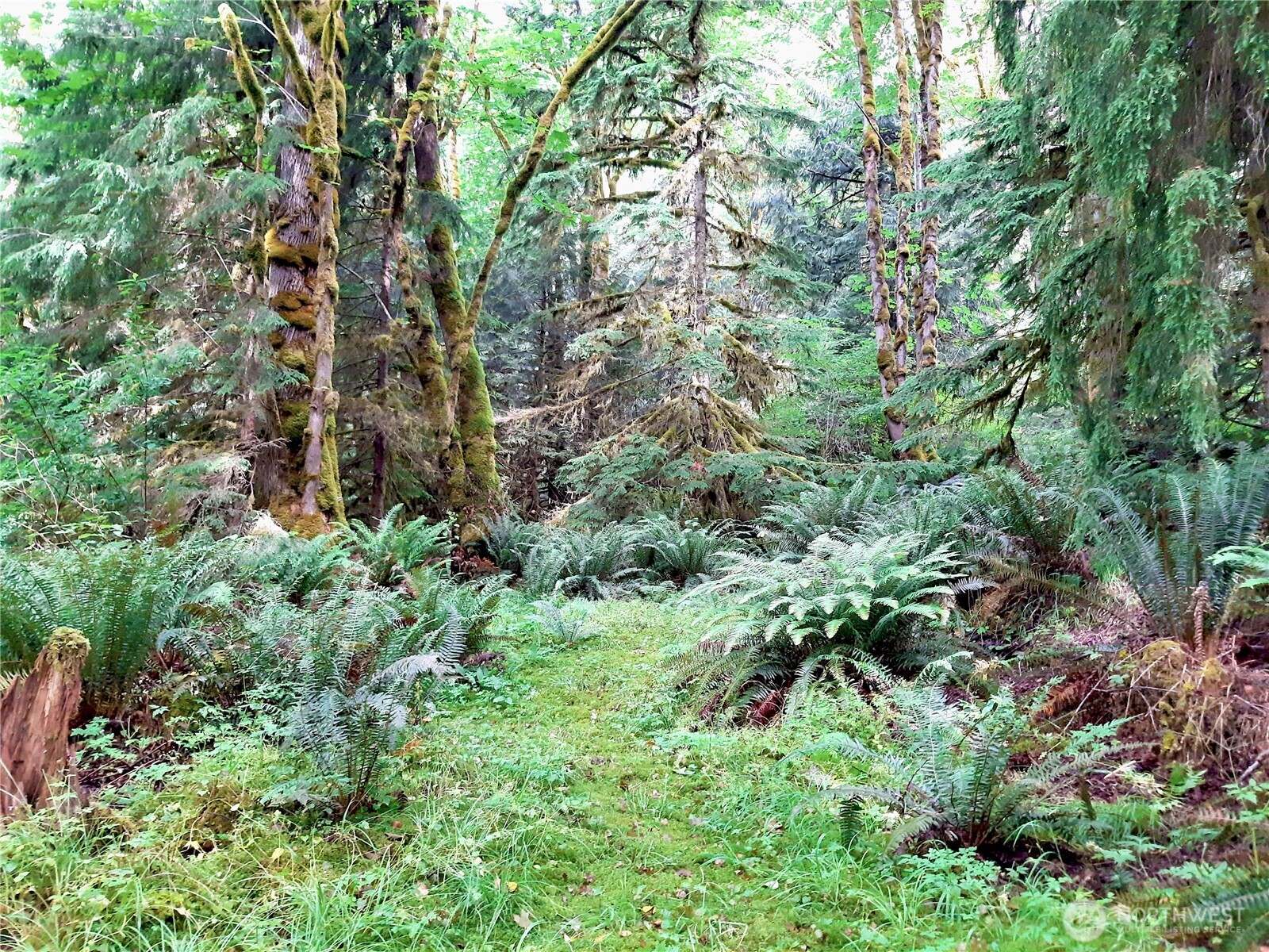 499 Claybanks Property Photo 18