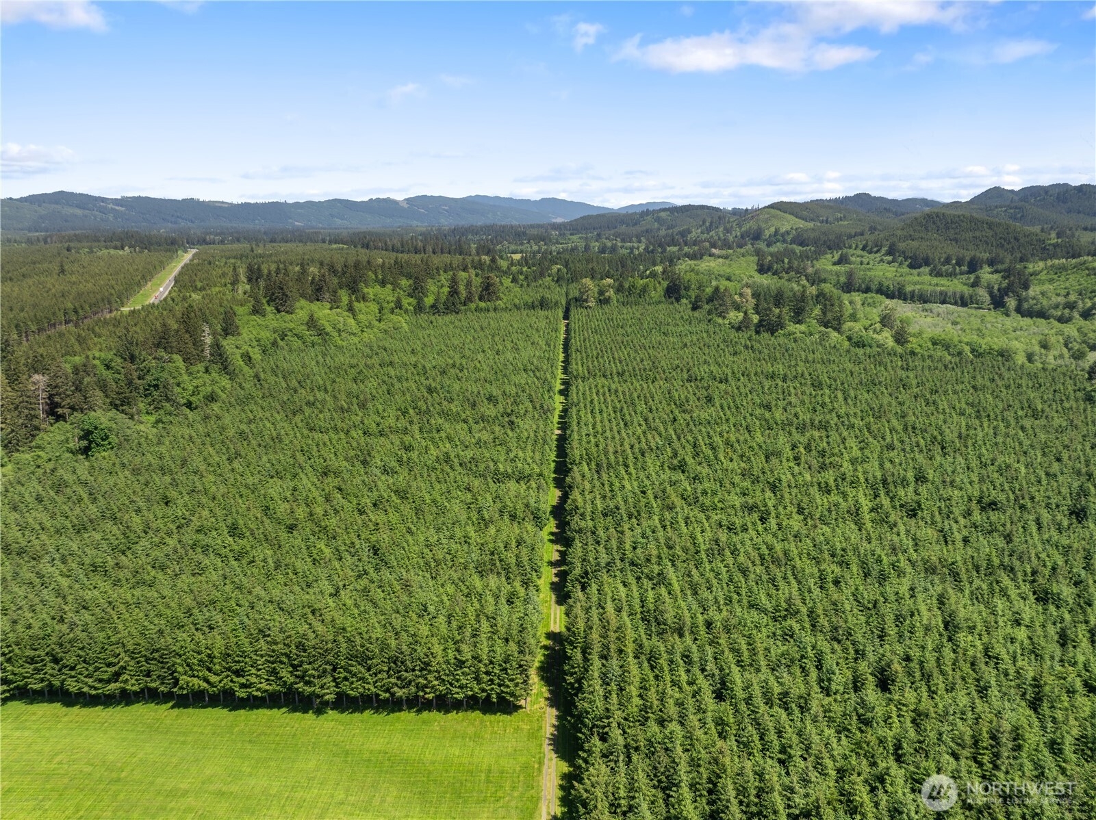 2401797 Property Photo 10