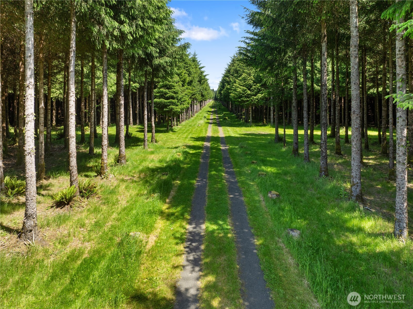 2401797 Property Photo 11