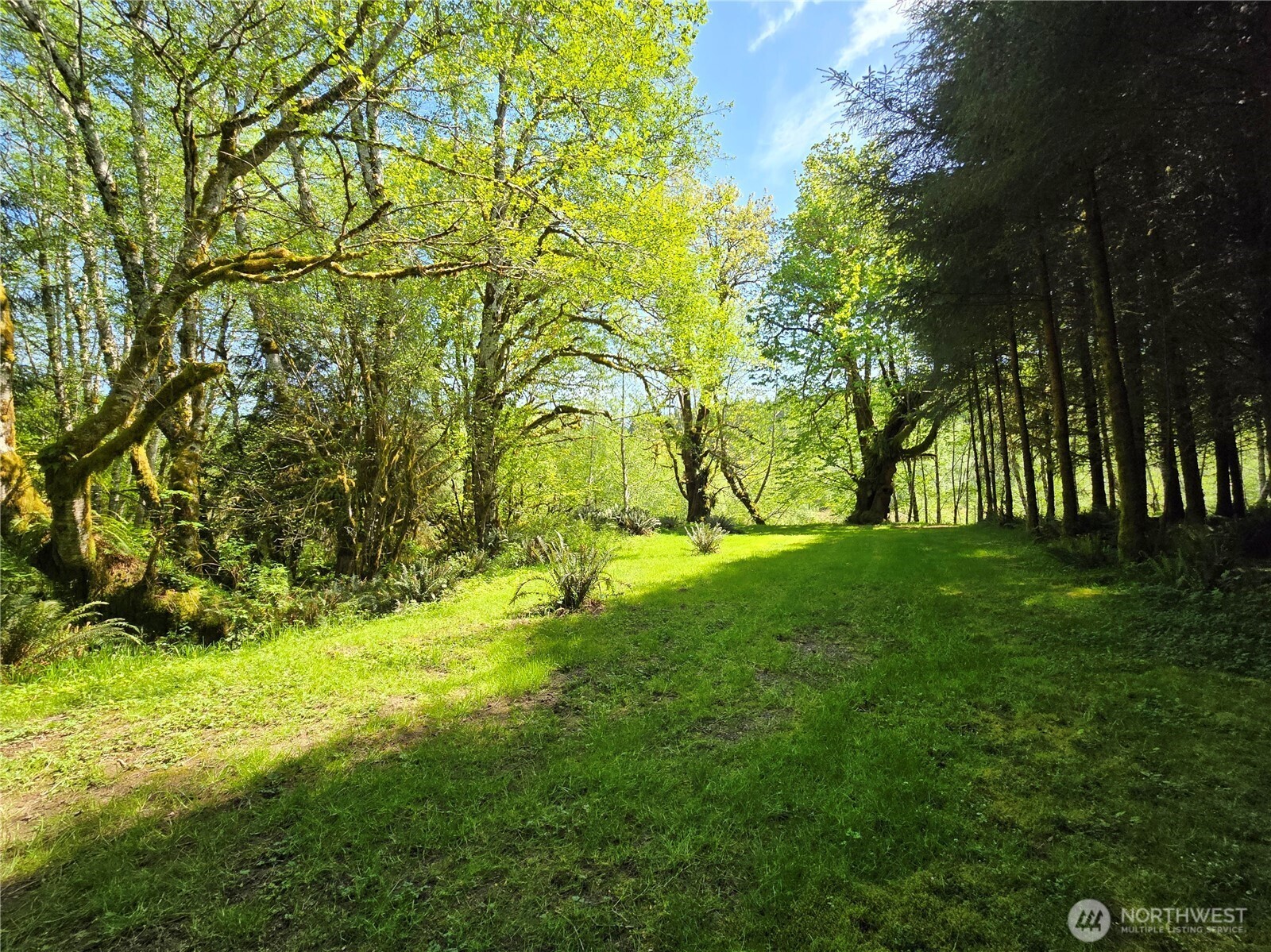 2401797 Property Photo 12