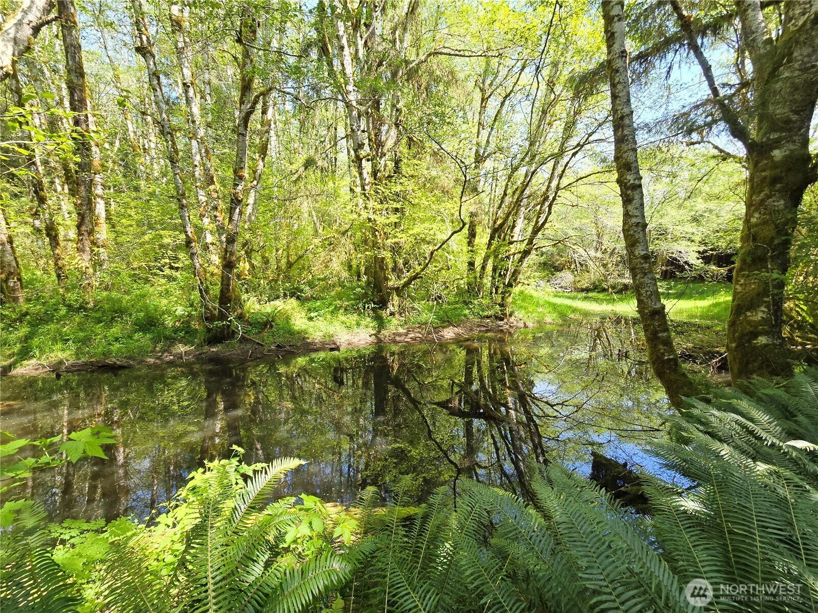 2401797 Property Photo 13