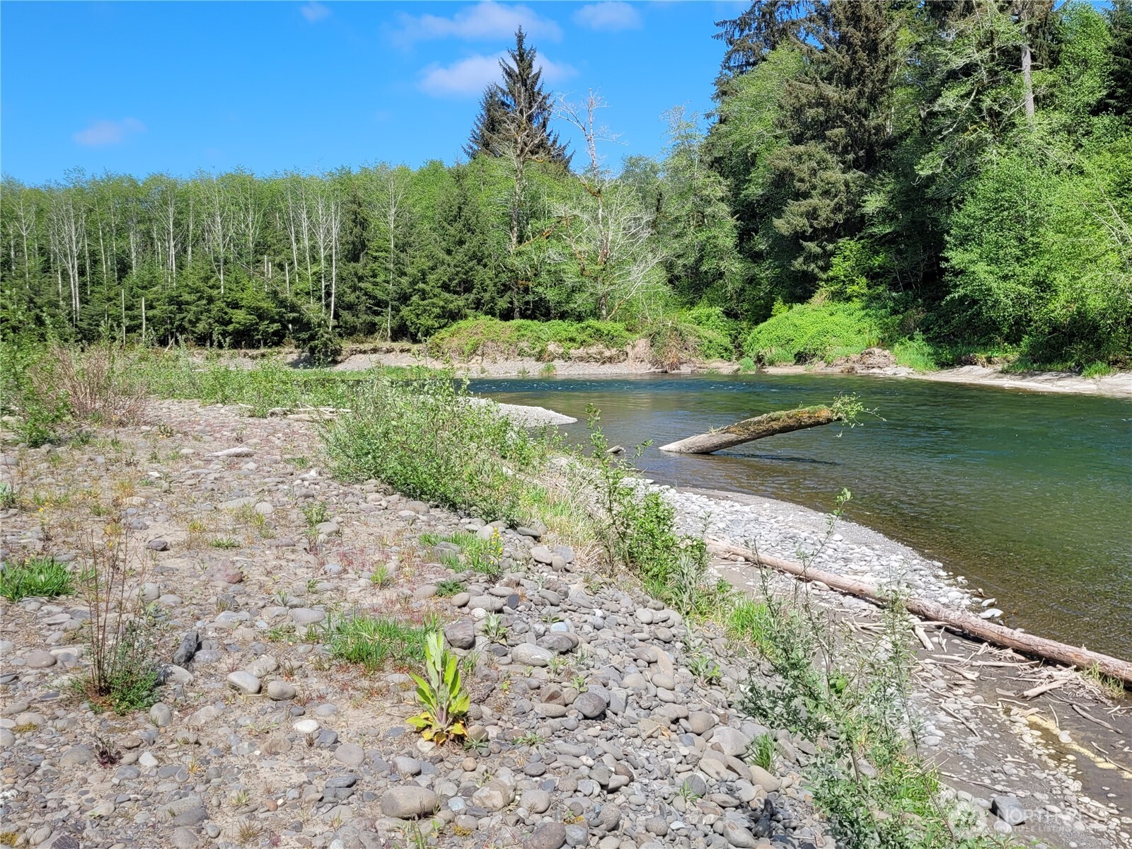 2401797 Property Photo 40