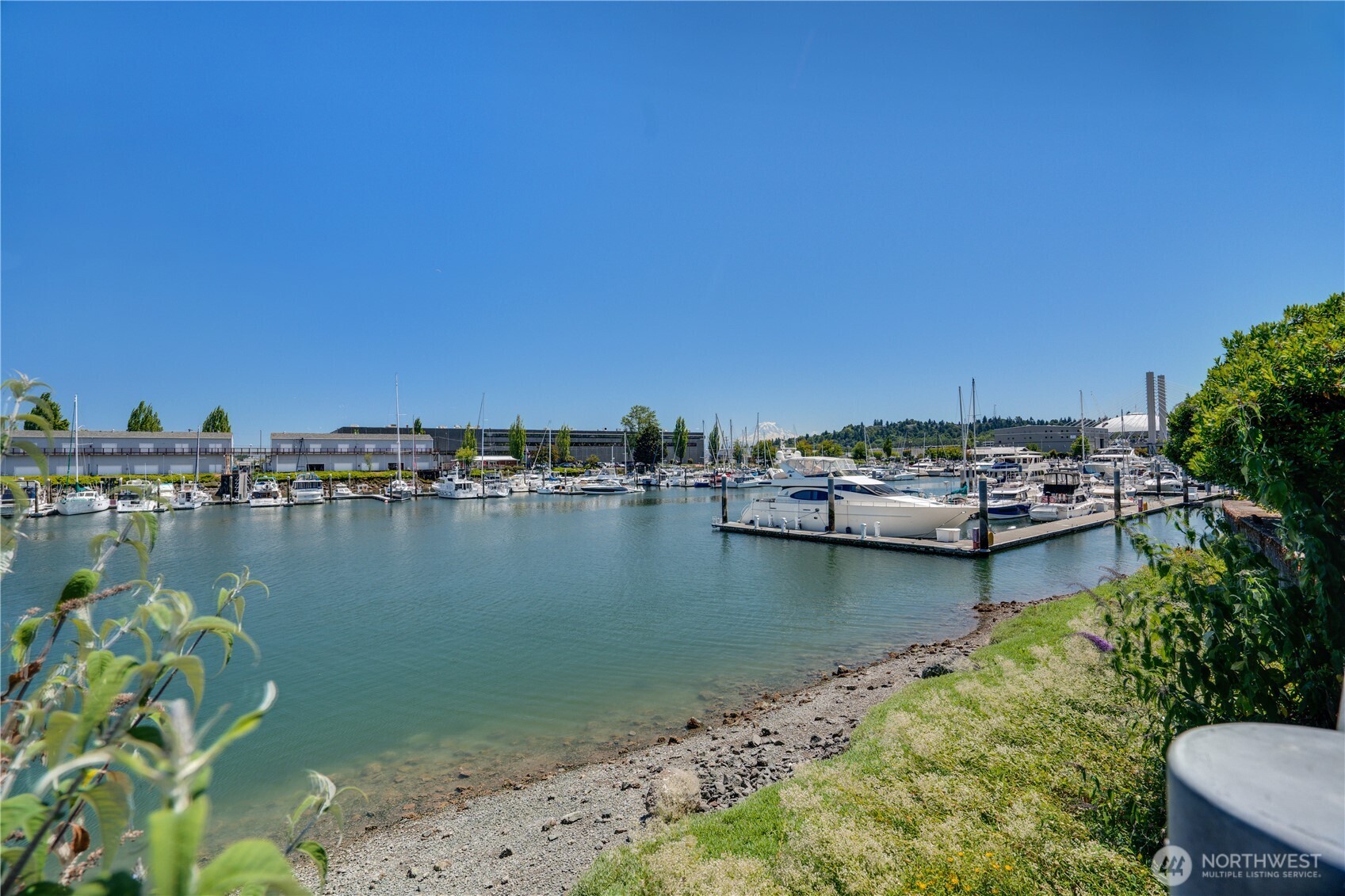 1515 Dock Street 306 Property Photo 38