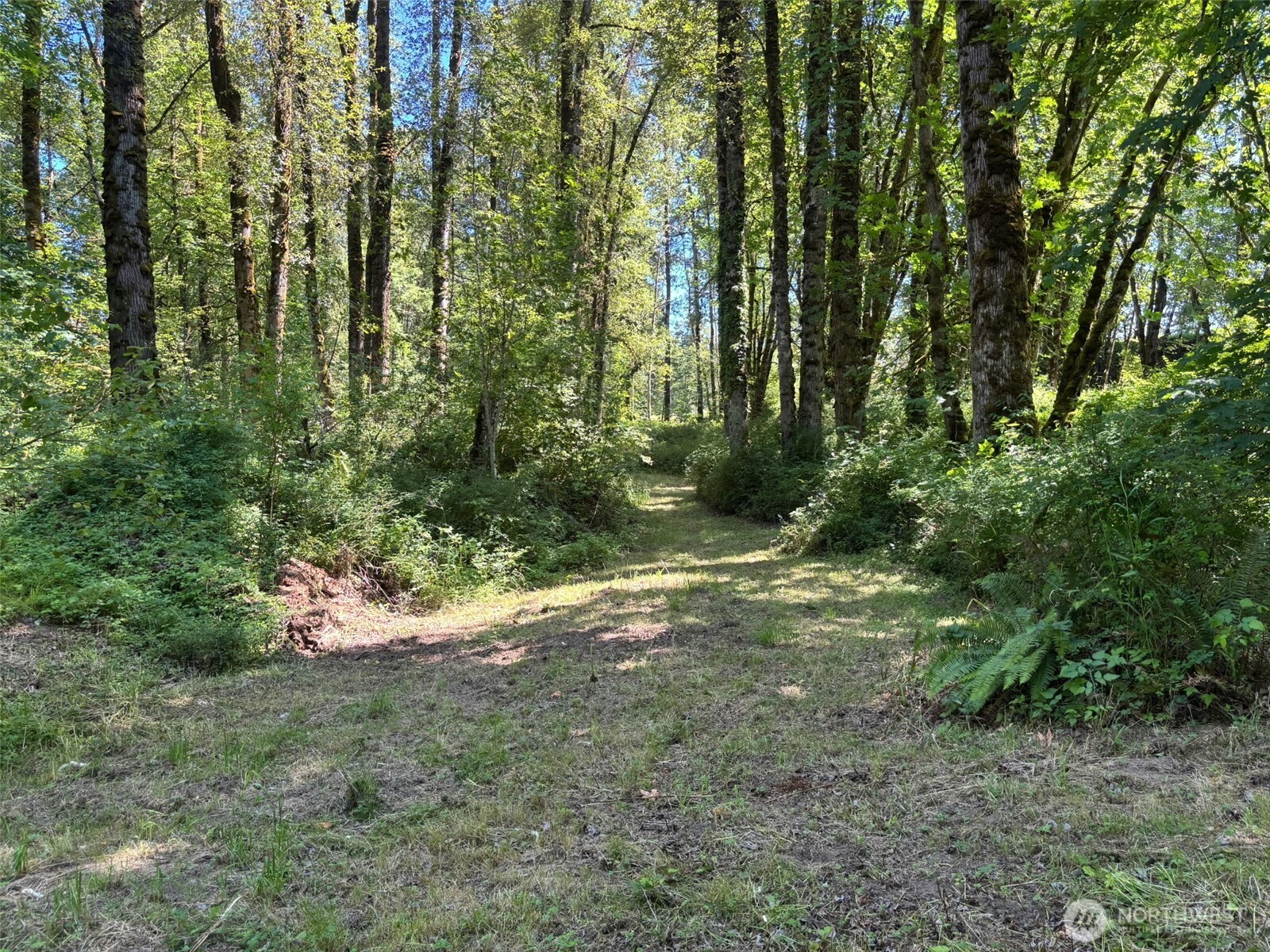 132 40 Mulford Road Property Photo 8