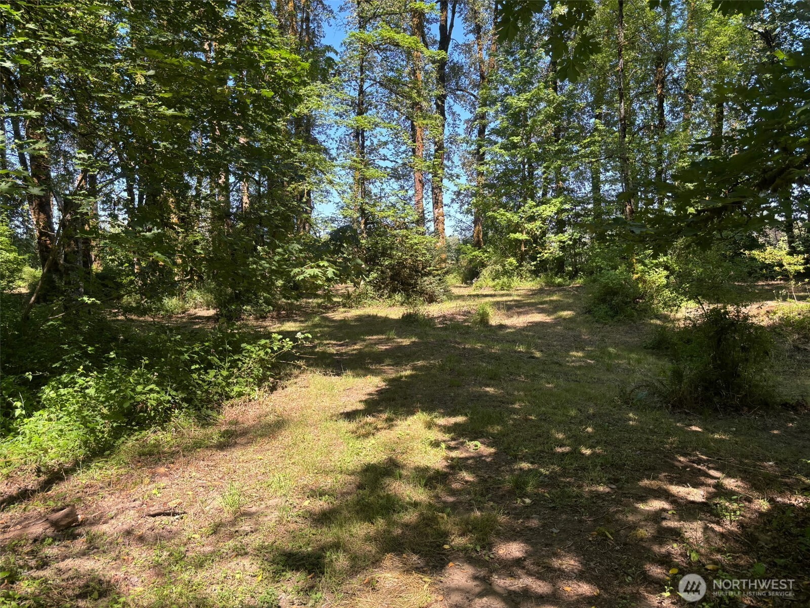 132 40 Mulford Road Property Photo 9