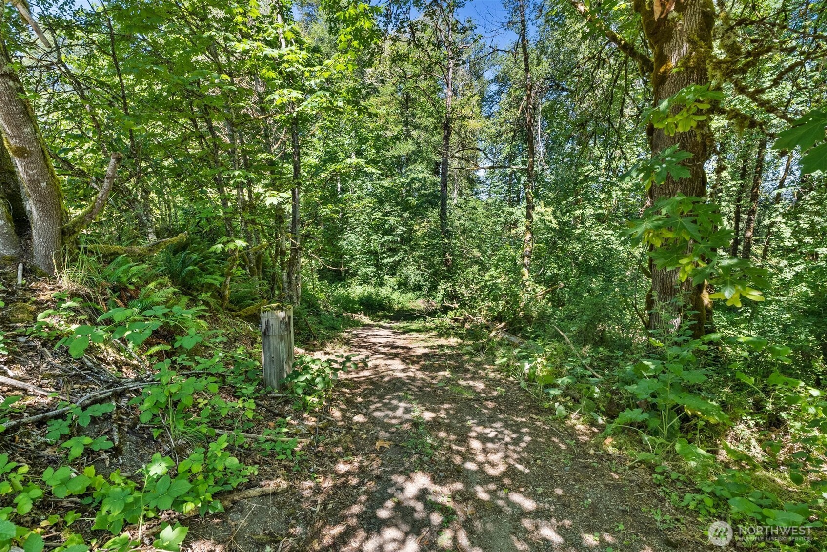 132 40 Mulford Road Property Photo 10