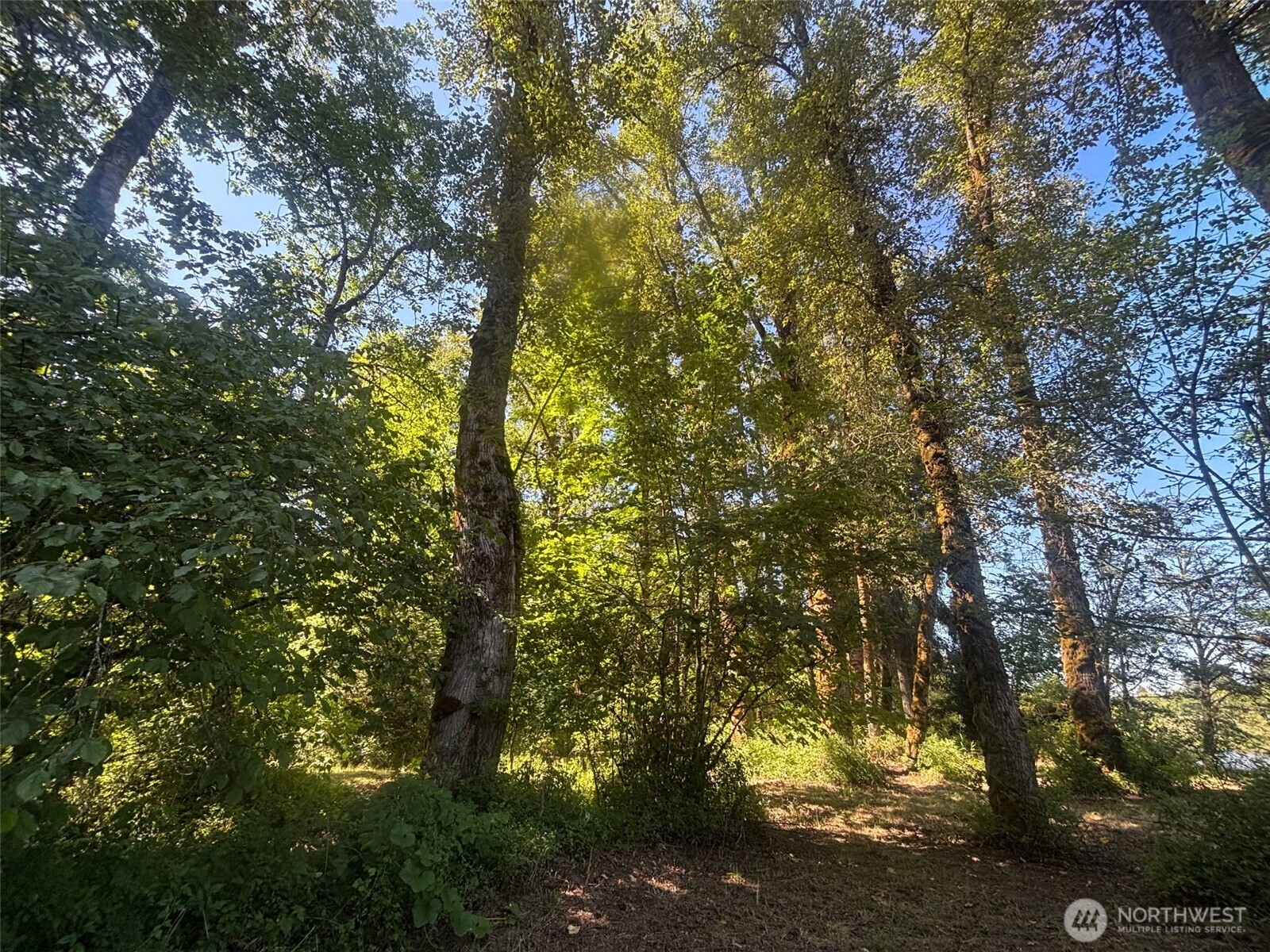 132 40 Mulford Road Property Photo 11