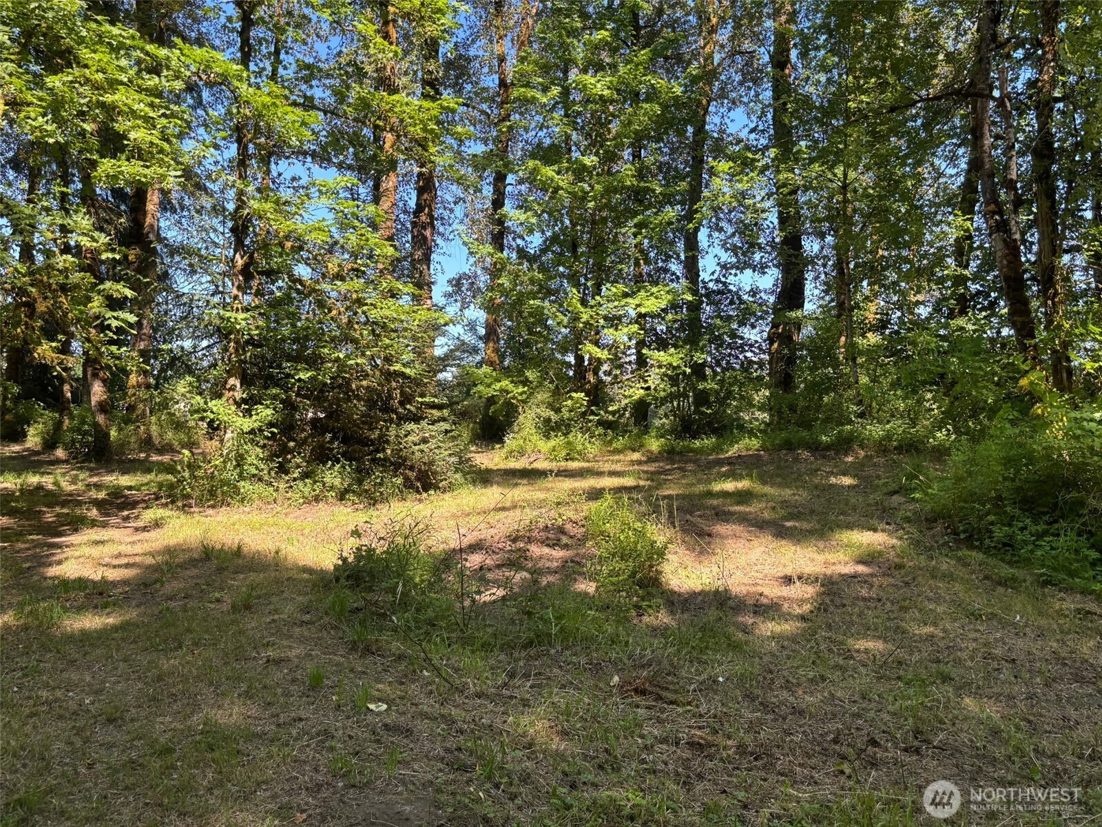 132 40 Mulford Road Property Photo 12