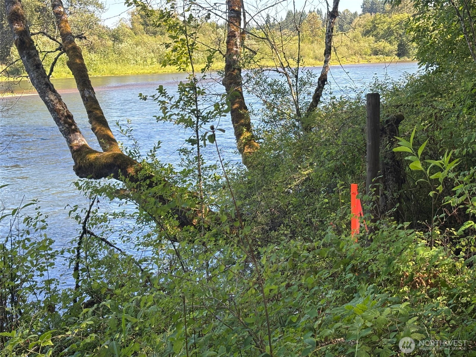 132 40 Mulford Road Property Photo 17