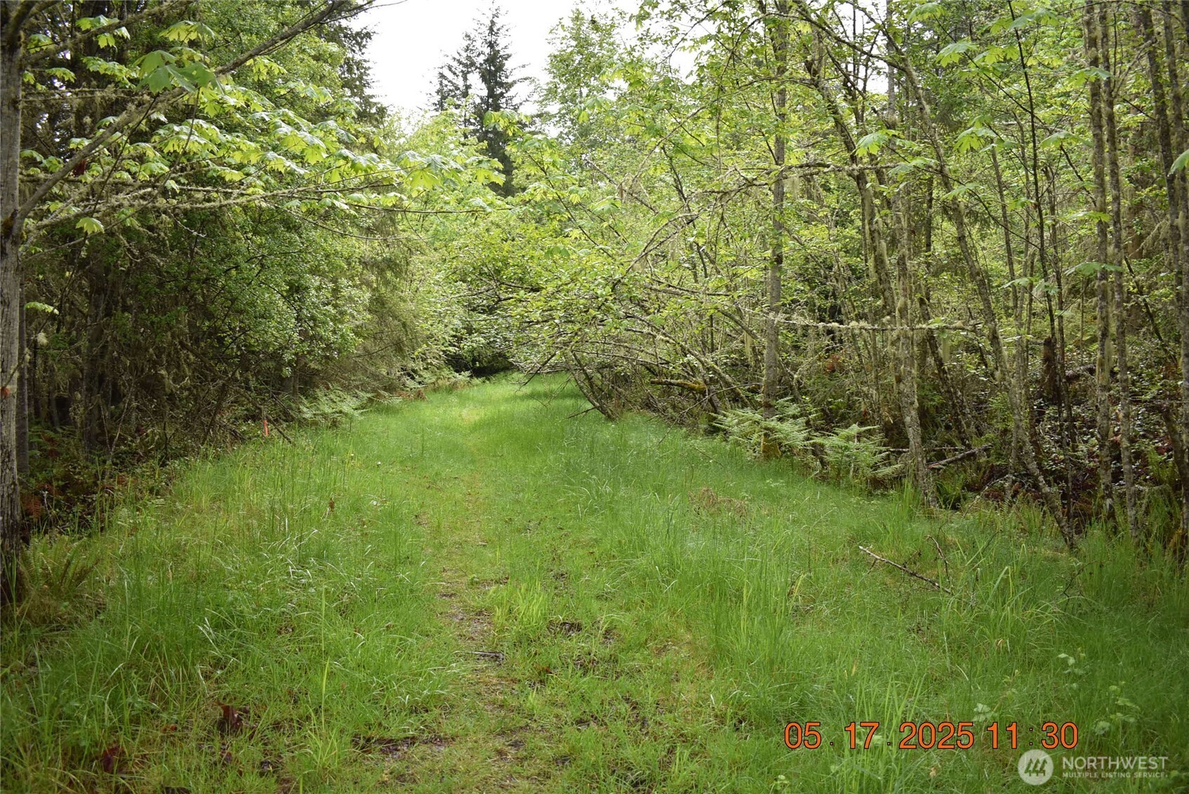 0 Lot 40 Township Line Road Property Photo 1