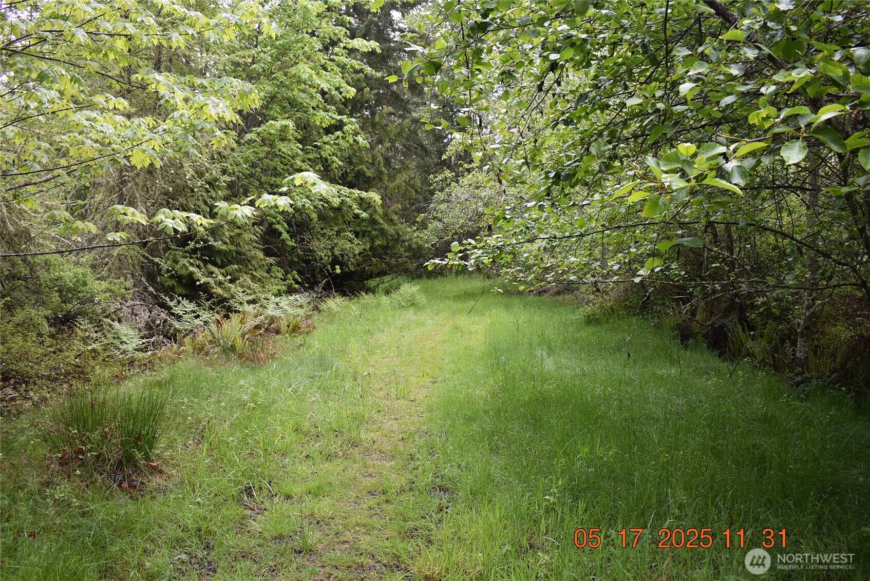 0 Lot 40 Township Line Road Property Photo 2