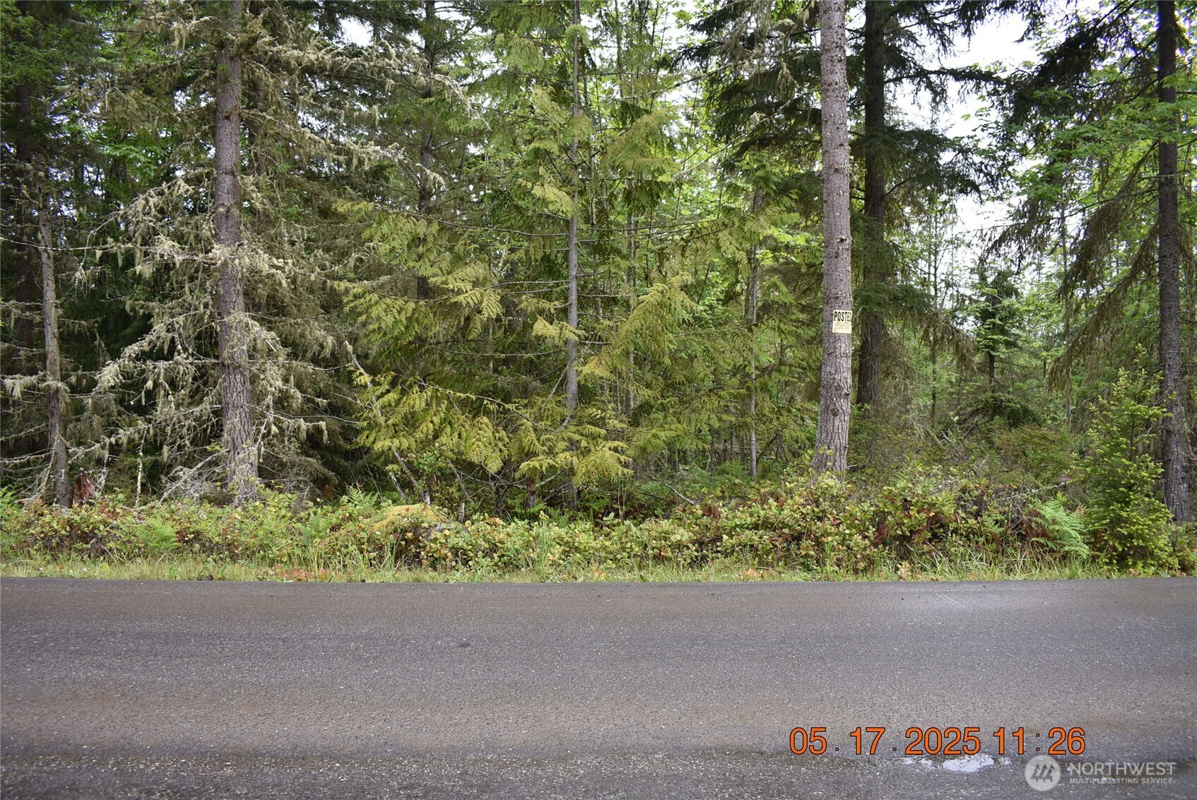 0 Lot 40 Township Line Road Property Photo 3
