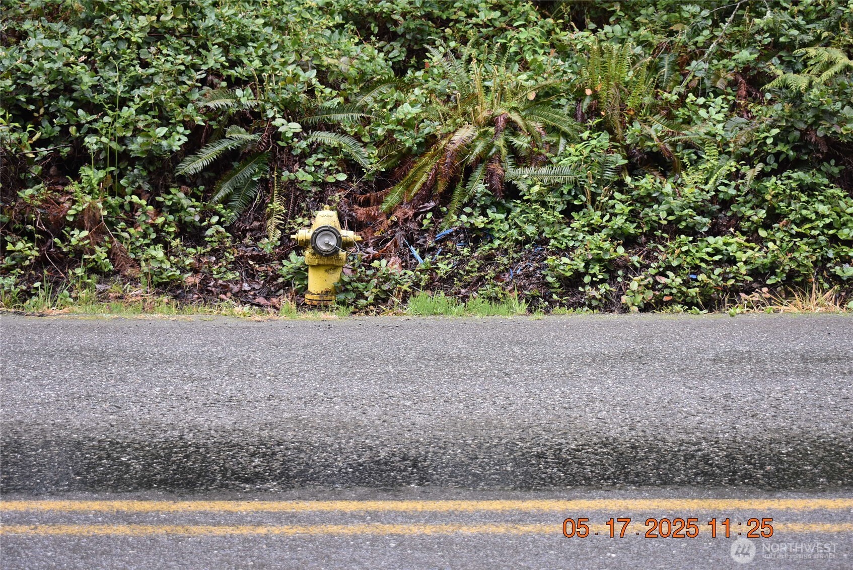0 Lot 40 Township Line Road Property Photo 4