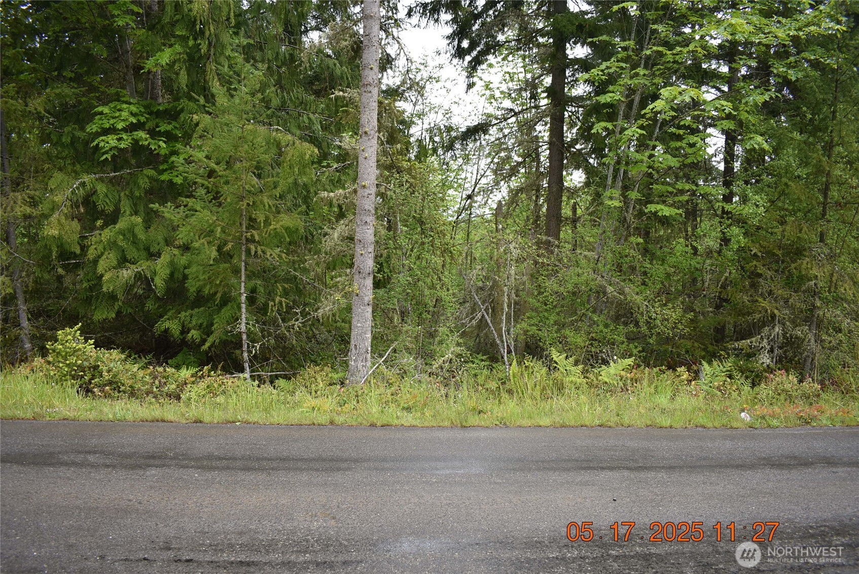 0 Lot 40 Township Line Road Property Photo 6