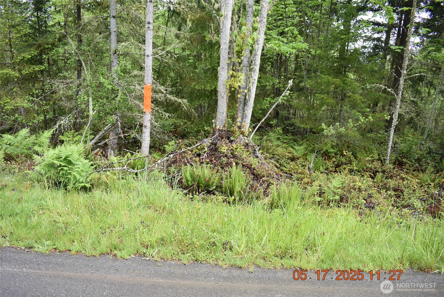 0 Lot 40 Township Line Road Property Photo 7