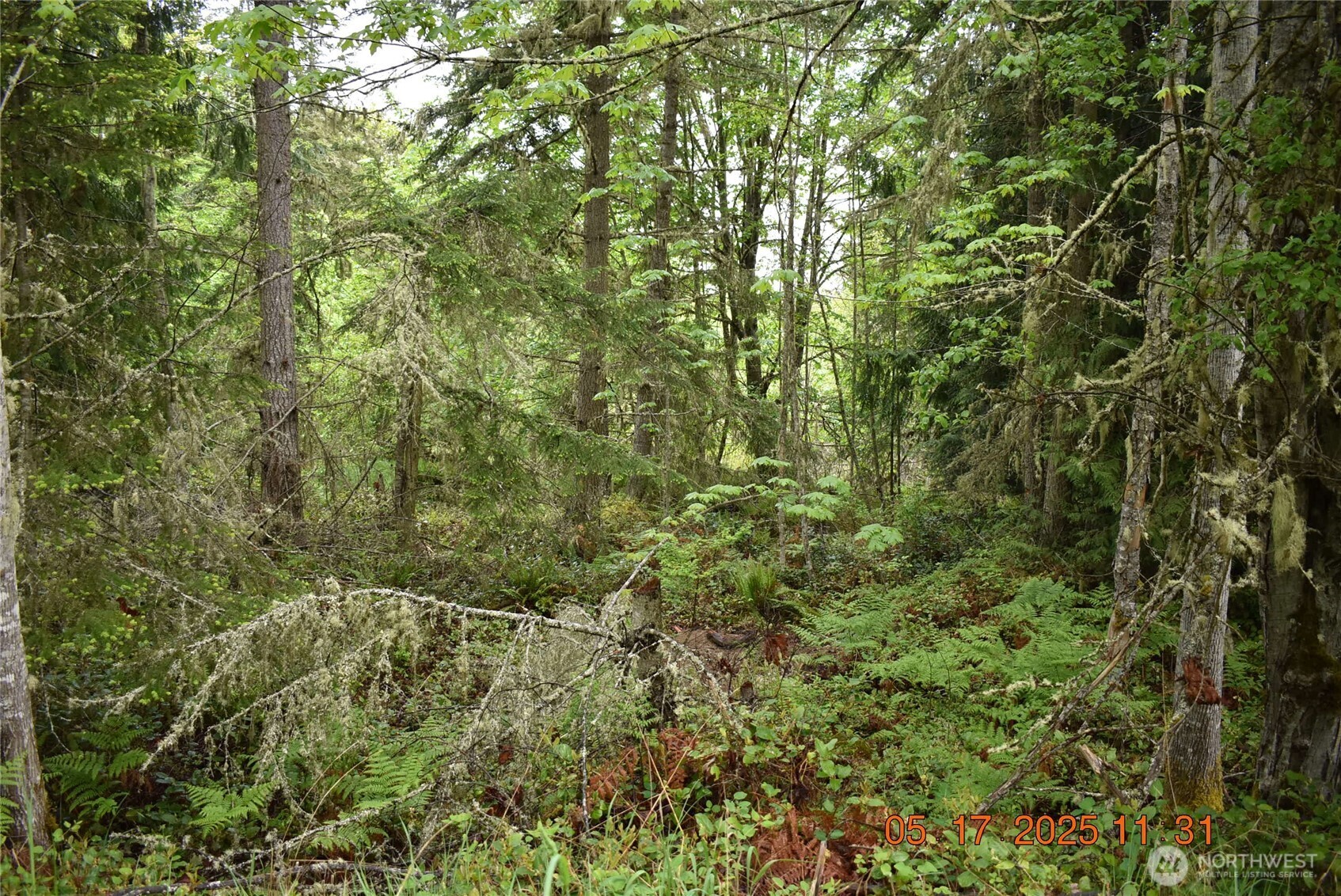 0 Lot 40 Township Line Road Property Photo 8