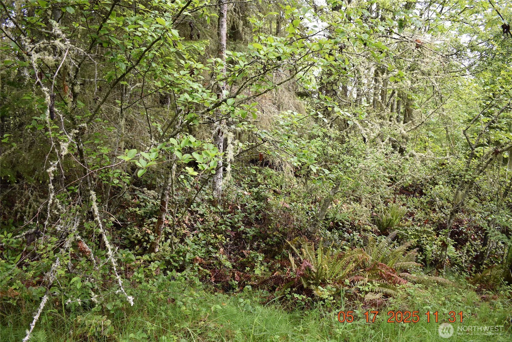 0 Lot 40 Township Line Road Property Photo 9