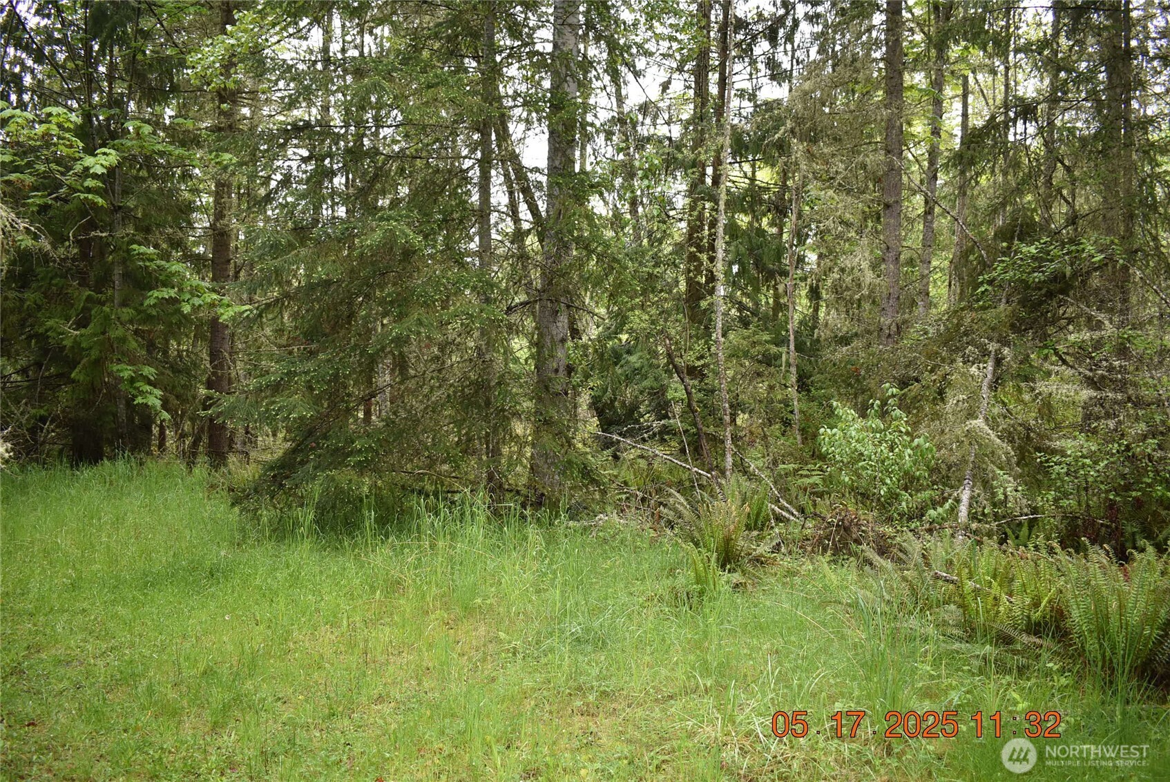 0 Lot 40 Township Line Road Property Photo 10
