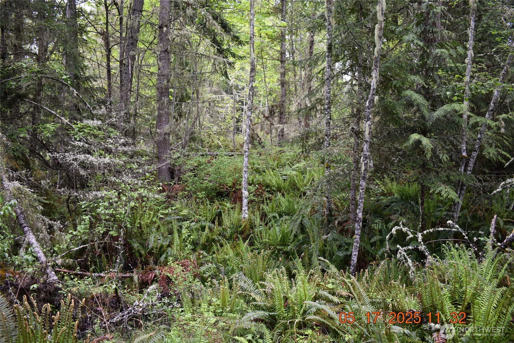 0 Lot 40 Township Line Road Property Photo 11