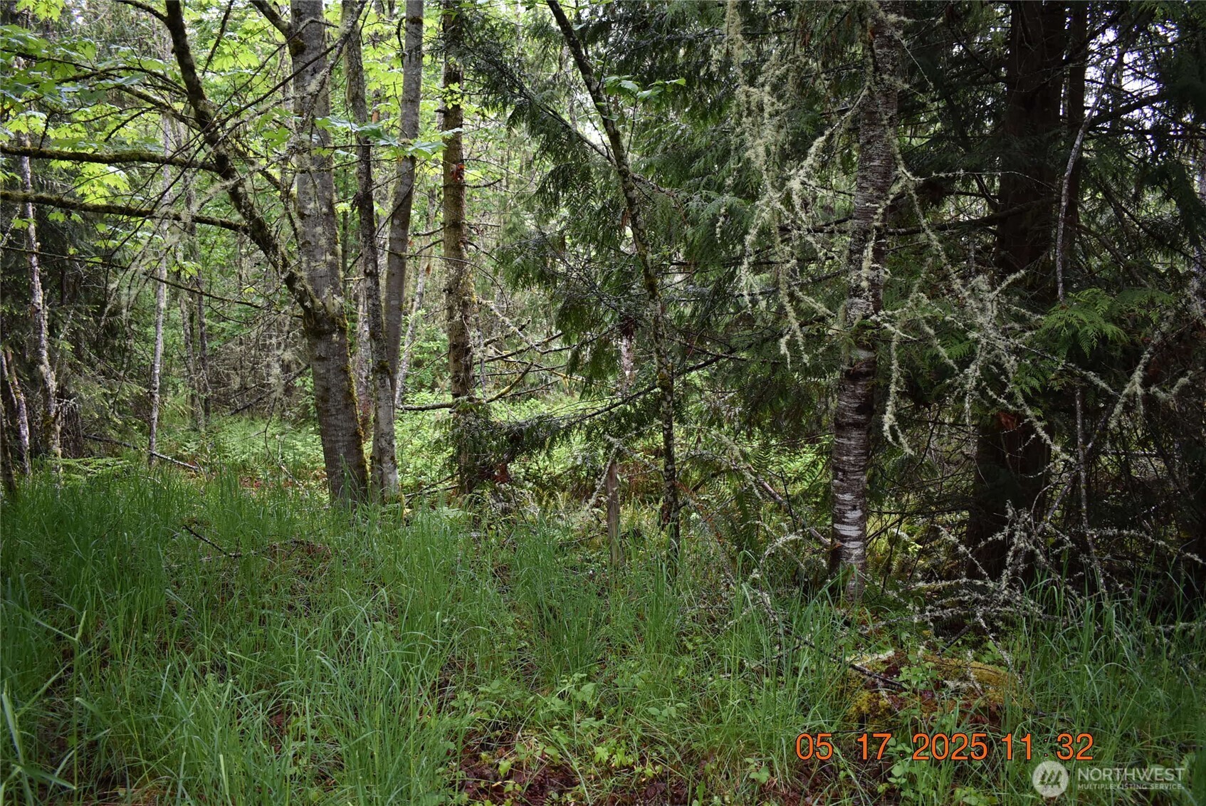 0 Lot 40 Township Line Road Property Photo 12