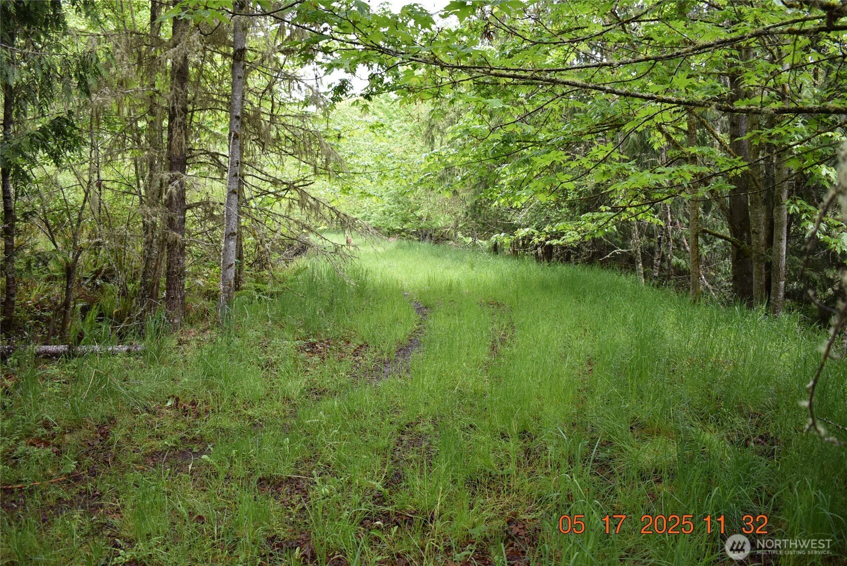 0 Lot 40 Township Line Road Property Photo 13