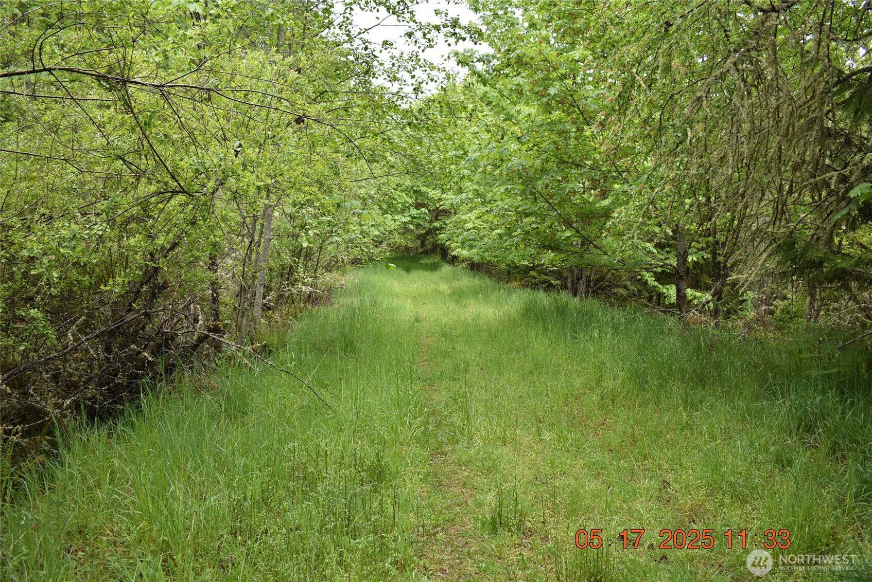 0 Lot 40 Township Line Road Property Photo 14