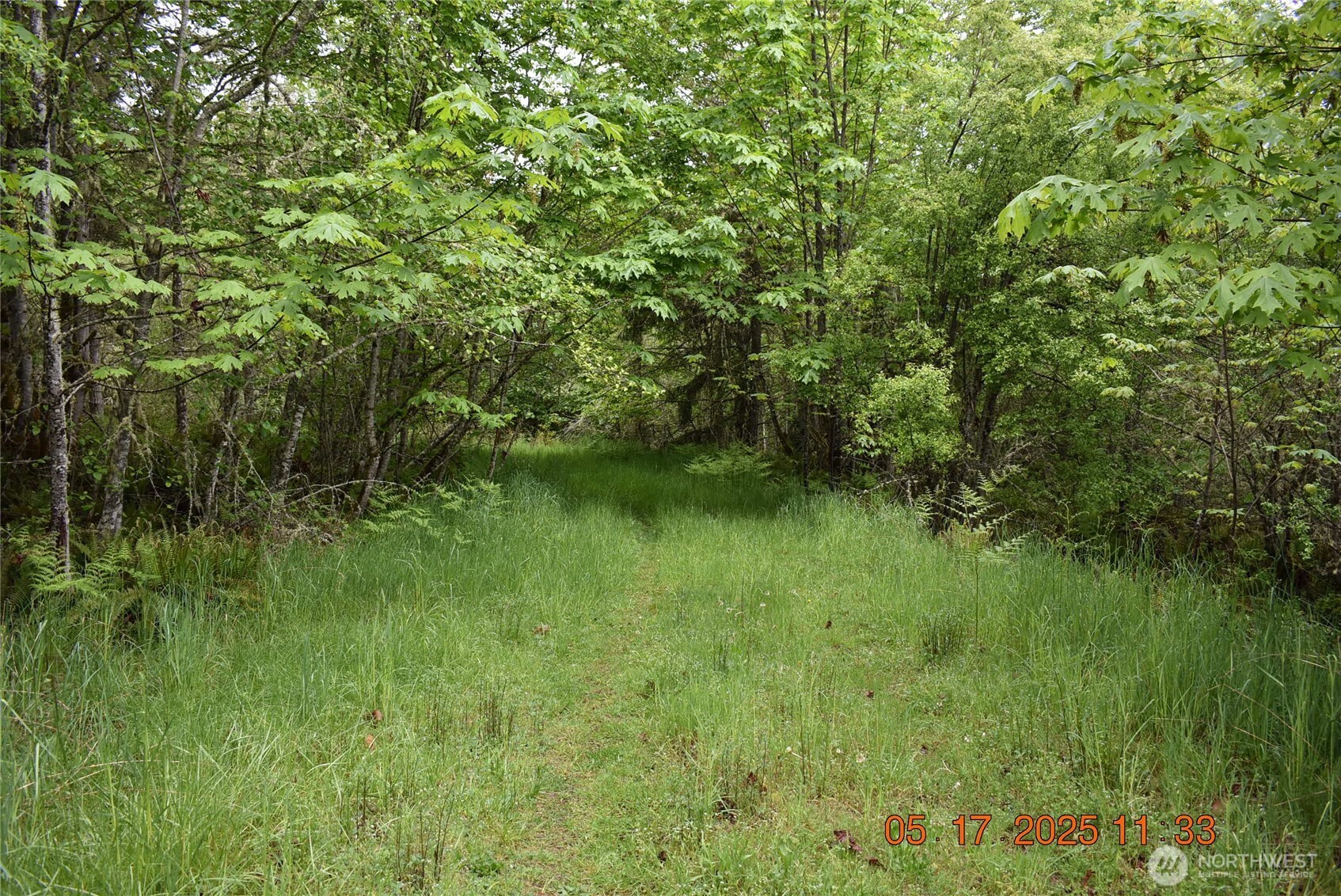 0 Lot 40 Township Line Road Property Photo 15