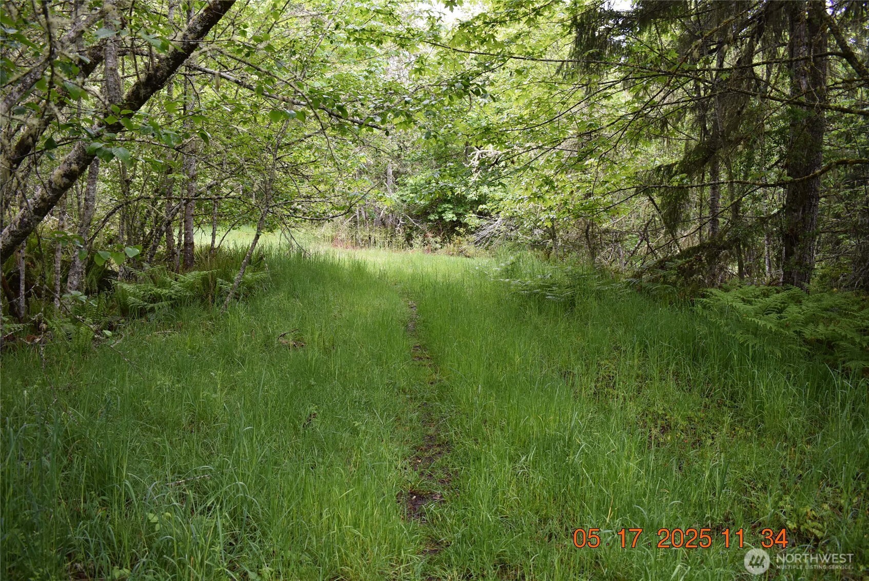 0 Lot 40 Township Line Road Property Photo 16