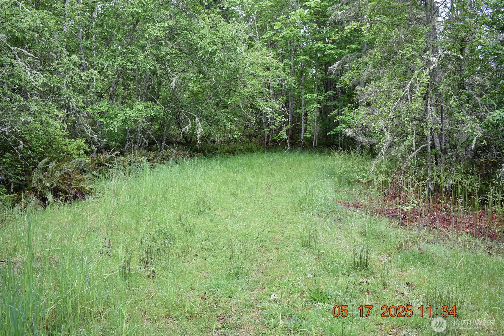 0 Lot 40 Township Line Road Property Photo 17