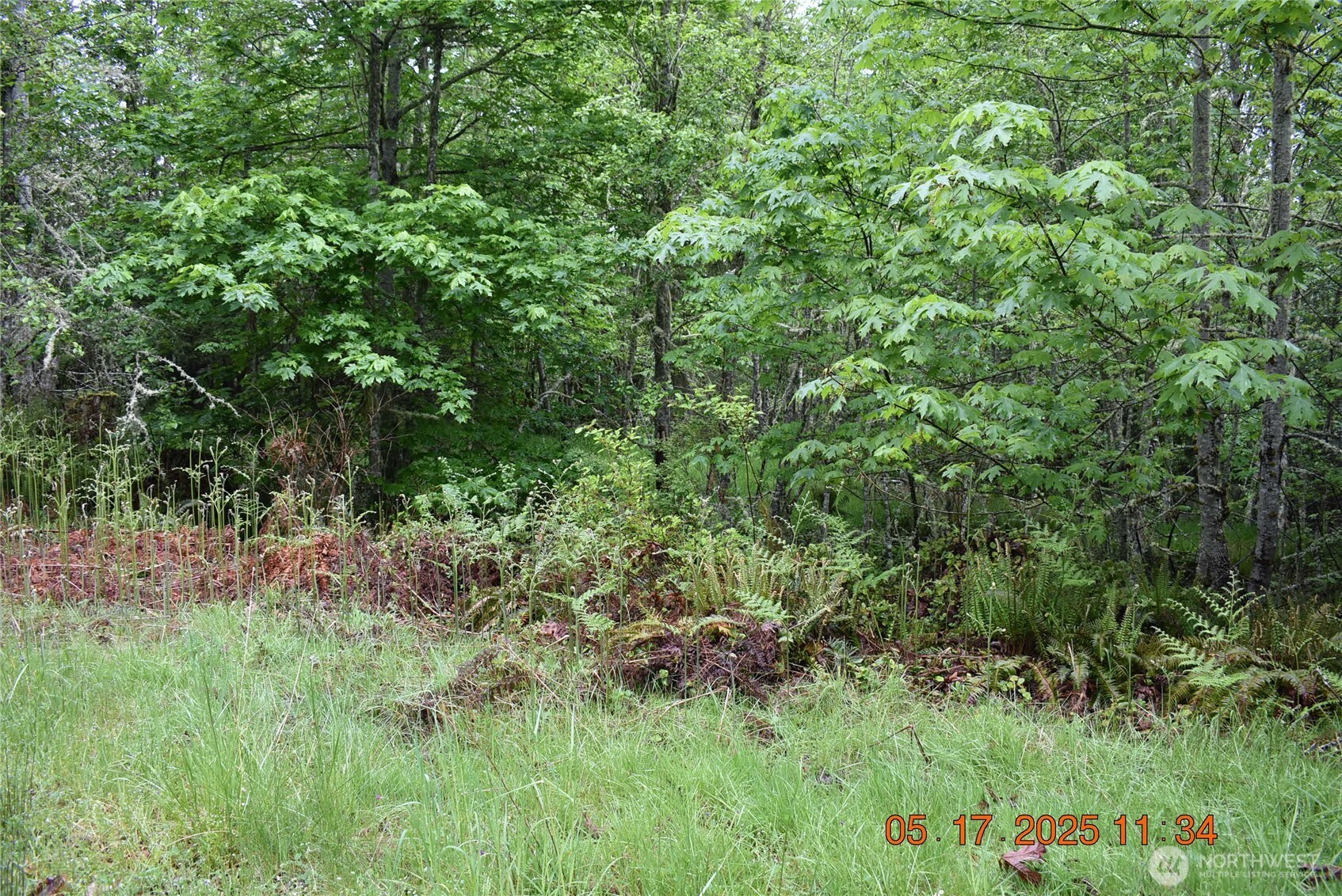 0 Lot 40 Township Line Road Property Photo 18