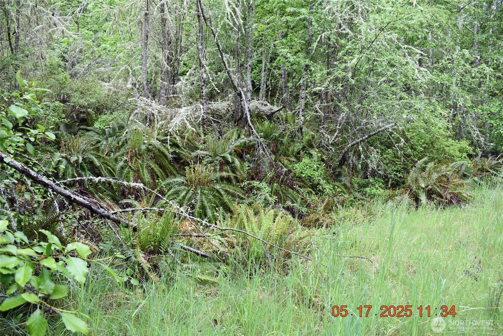 0 Lot 40 Township Line Road Property Photo 19