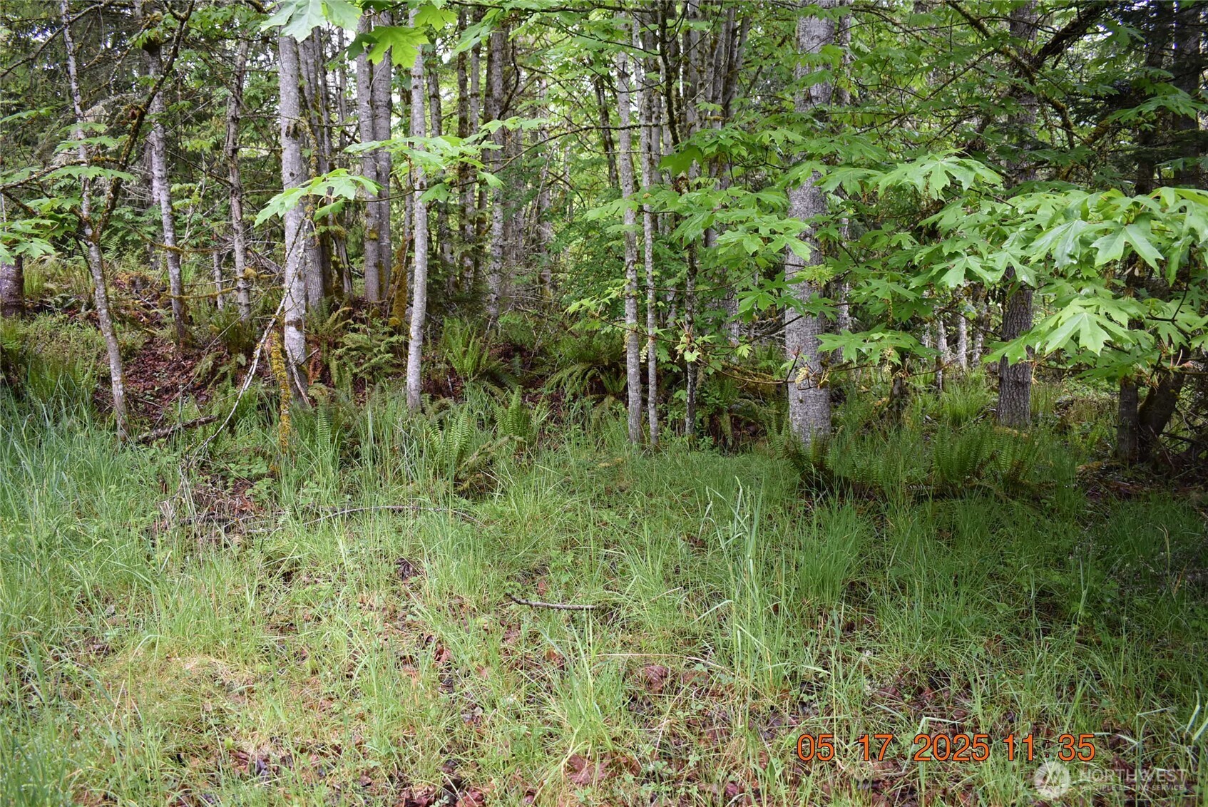 0 Lot 40 Township Line Road Property Photo 20