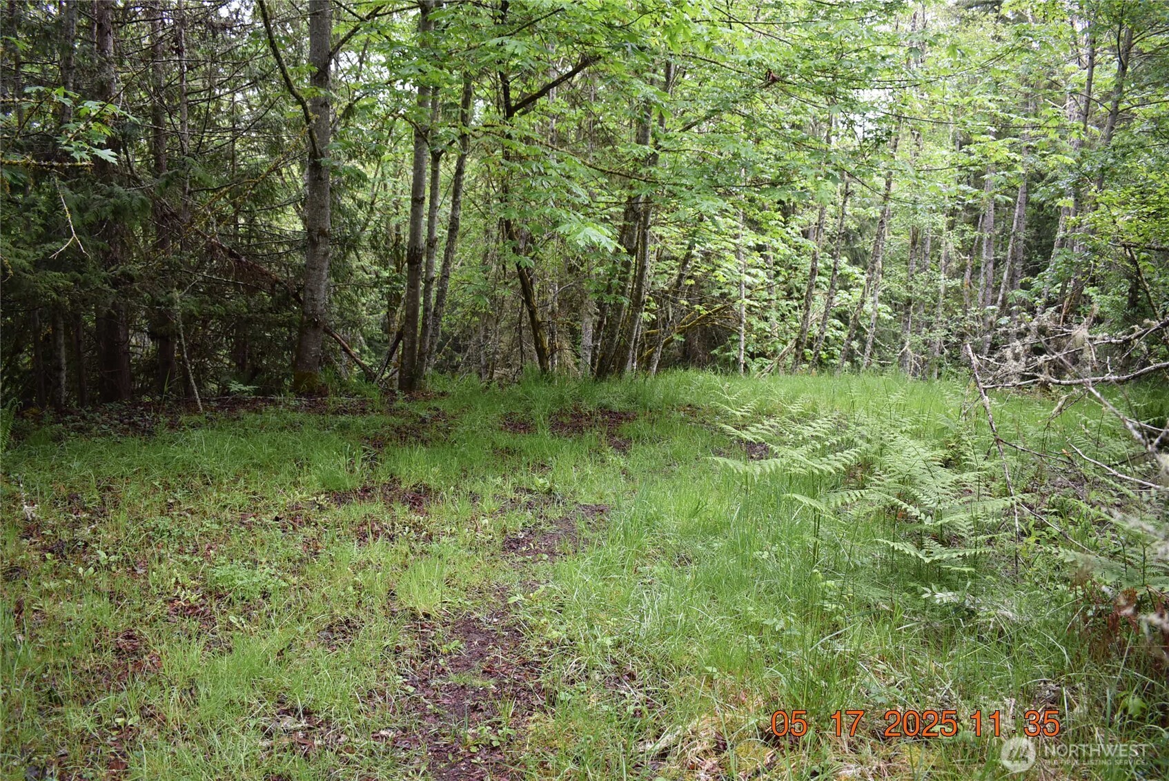 0 Lot 40 Township Line Road Property Photo 21